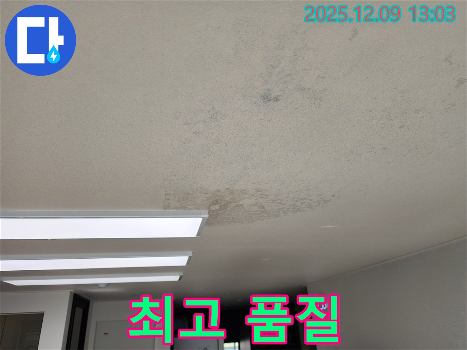 성동리 - 천장 누수 합리적인 가격 최고의 품질