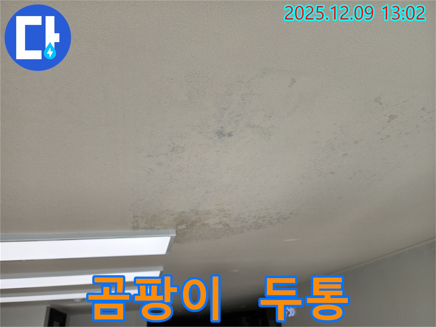 영중면 성동리 천장 누수 - 곰팡이 냄새 때문에 머리까지 아프다면 누수를 의심하세요.