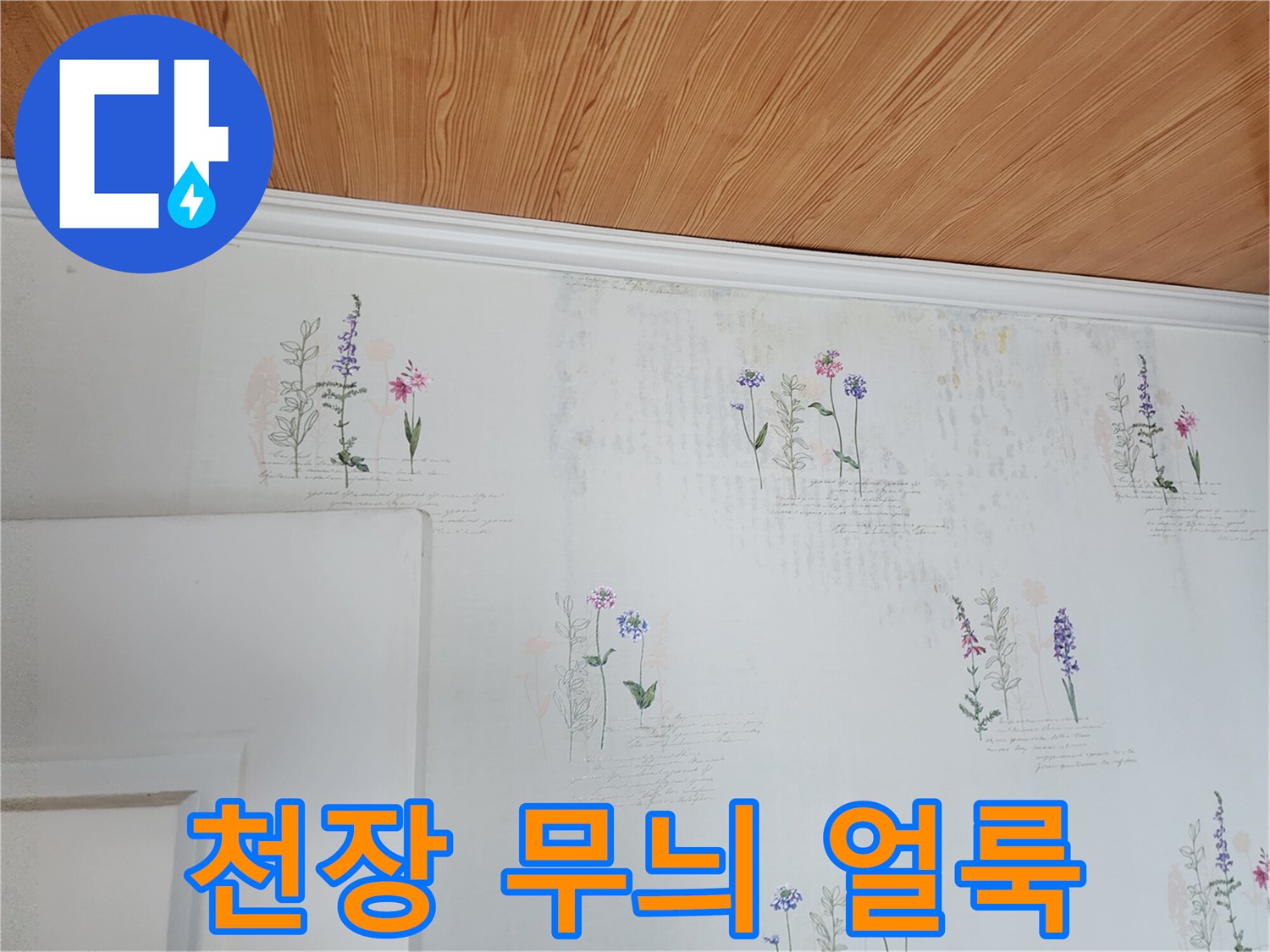 영중면 현장 천장 벽지의 미세한 얼룩 부위 - 누수 확인