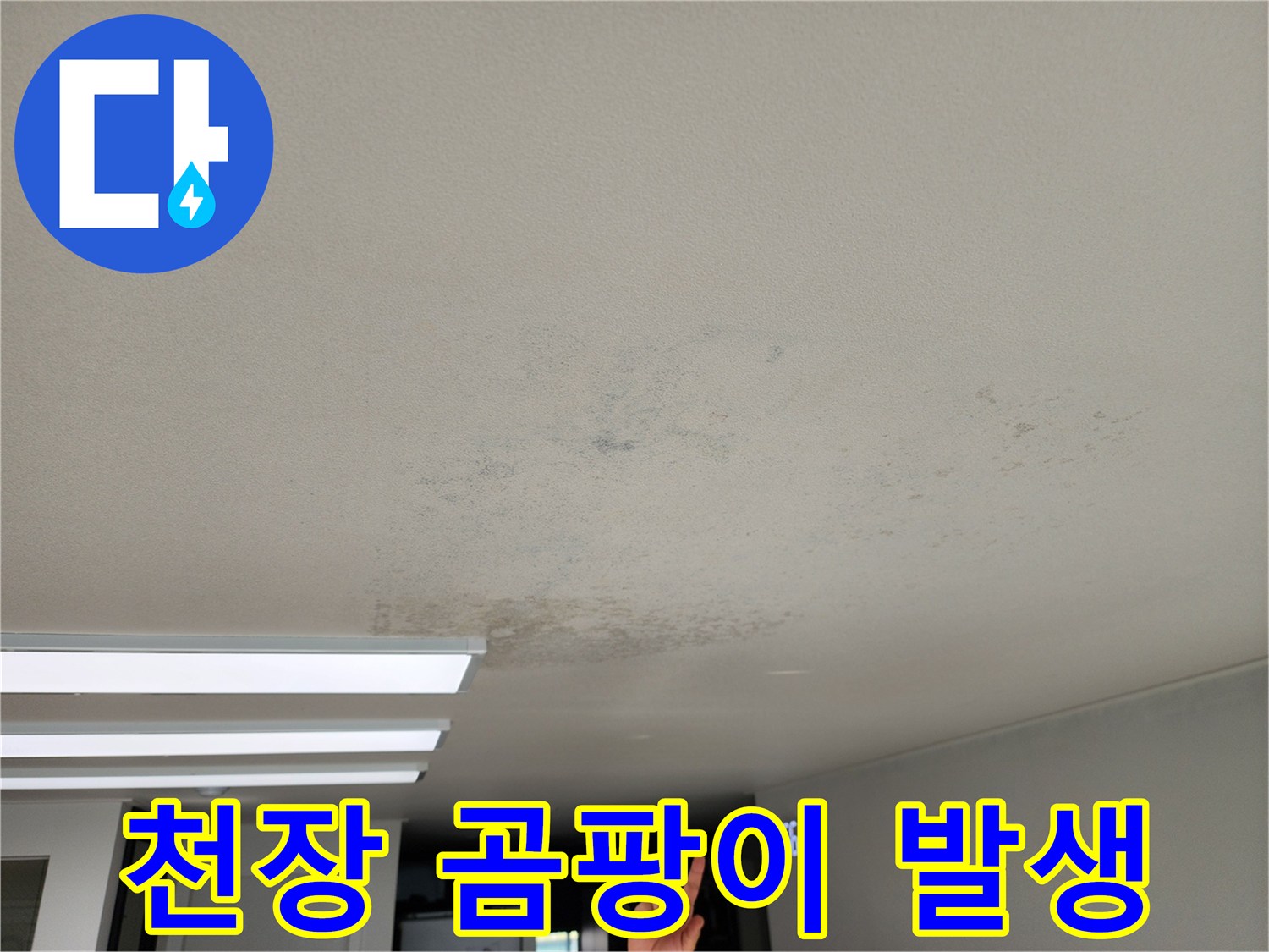 천장 마감재에 나타난 누수 흔적과 오염
