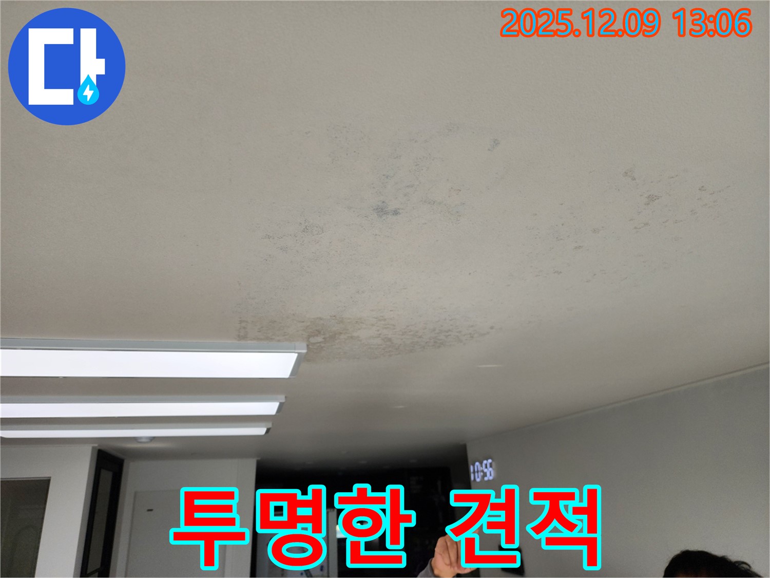 투명한 견적 - 투명한 견적과 믿을 수 있는 서비스를 제공합니다.