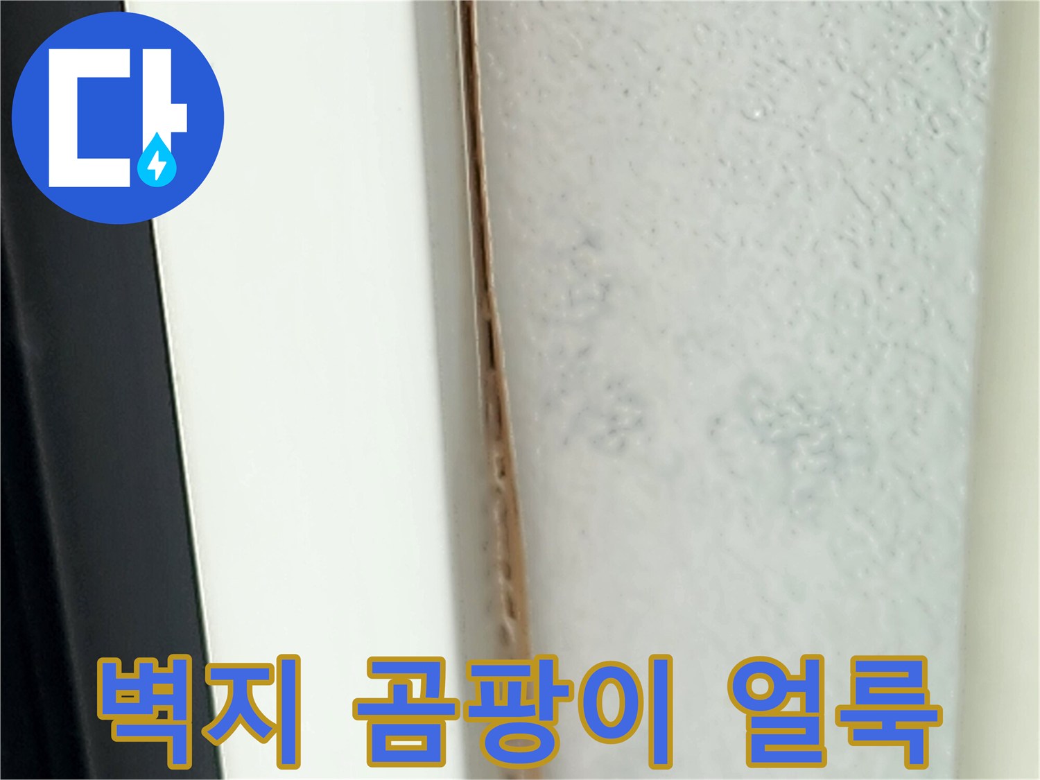 포천 영중면 내부-곰팡이가 피어오른 벽면 상태