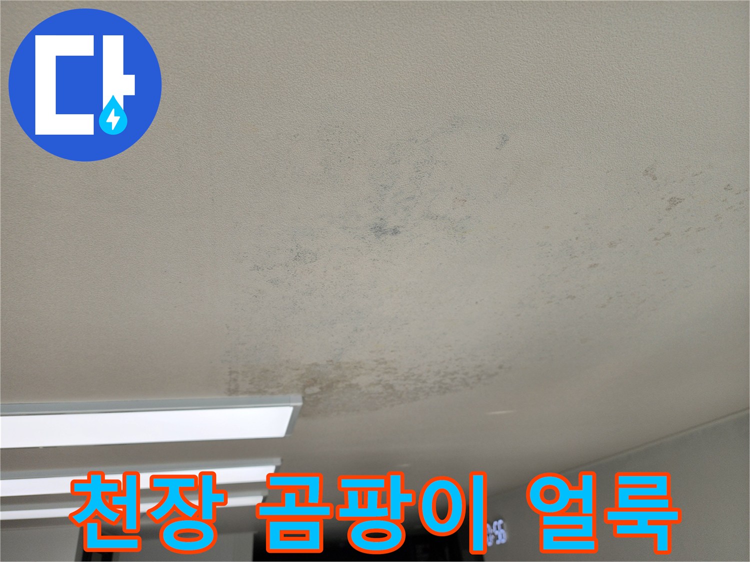 포천 영중면 현장의 천장 곰팡이와 누수 흔적
