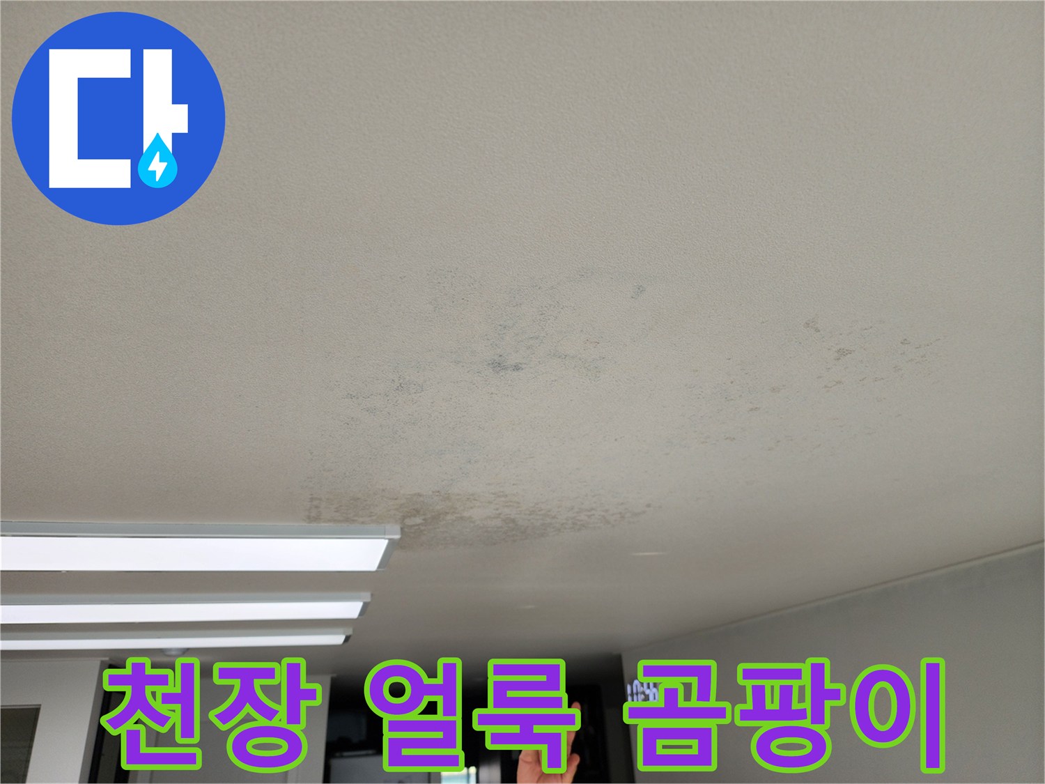 포천 영중면 현장의 천장 벽지 얼룩 및 곰팡이 발생 상태