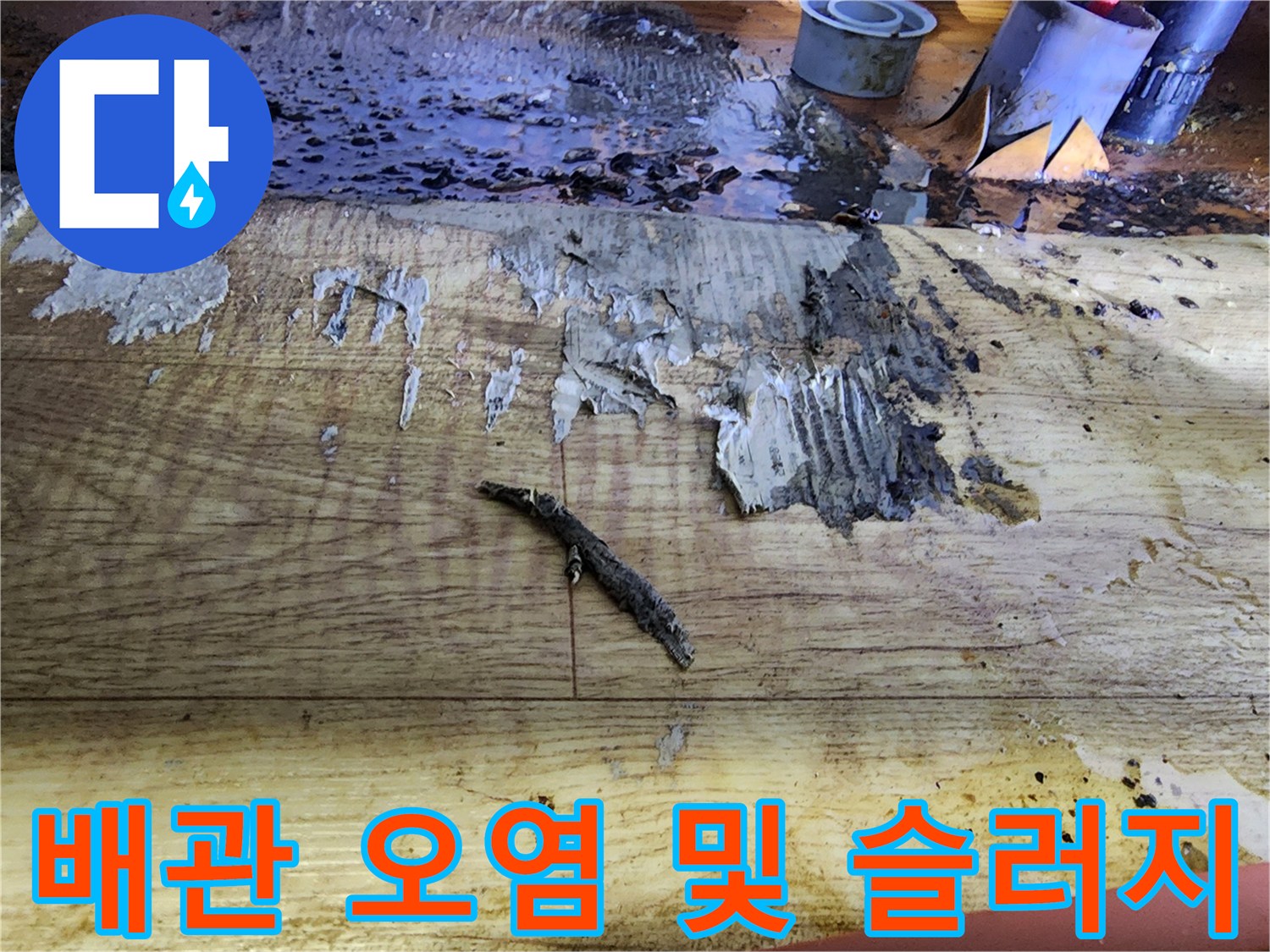 나무 판재 위에 흩어져 있는 검은색 오물과 배관 주변의 상태