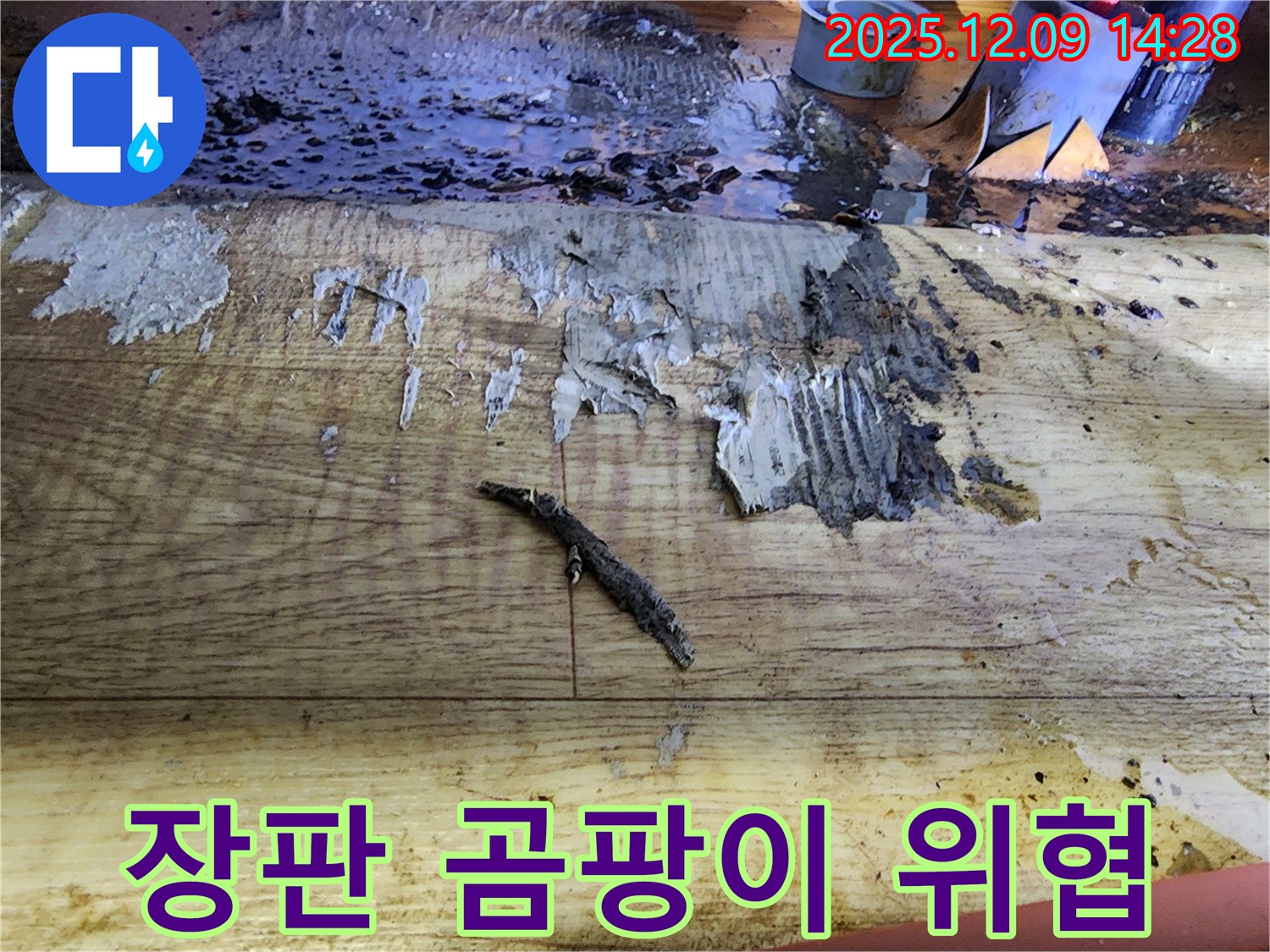 포천 영중면 금주리 누수 - 젖은 장판과 곰팡이, 건강 위협