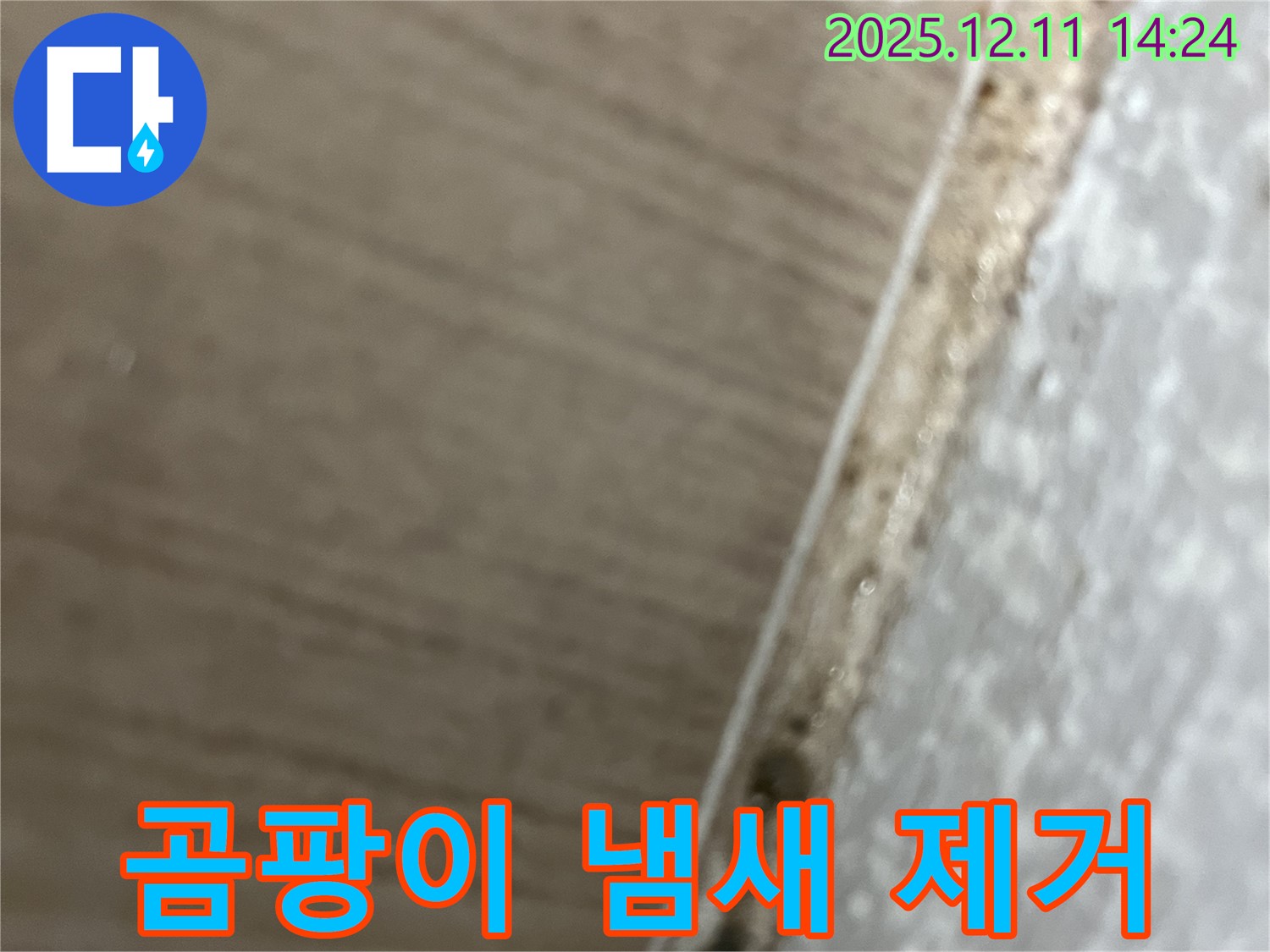 성산동 누수탐지 - 곰팡이 냄새 제거 솔루션 제공