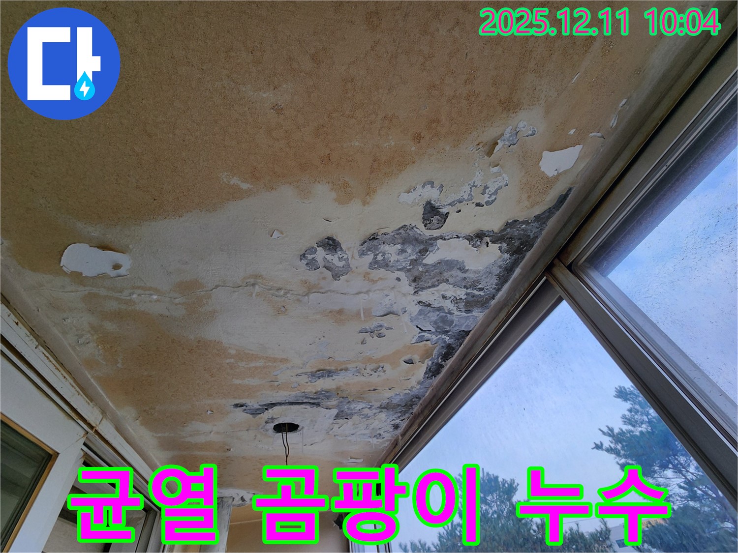 경기도 포천시 영중면 - 베란다 천장 누수 - 곰팡이 얼룩과 천장 균열
