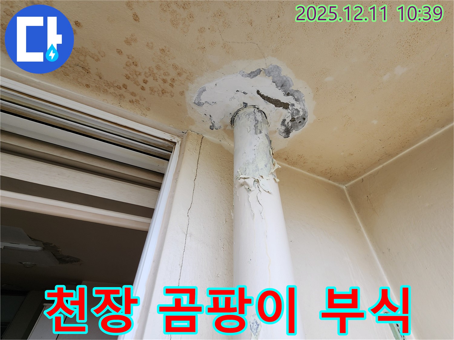 심각한 천장 오염 - 곰팡이 - 배관 부식 - 긴급 점검