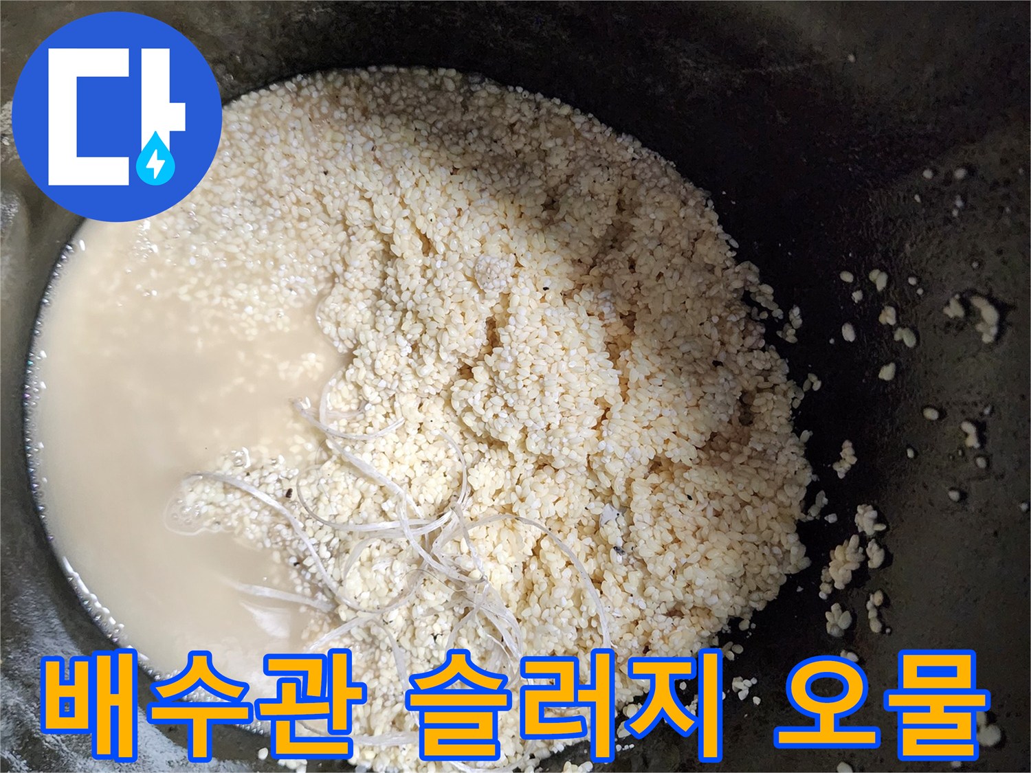 싱크대 배수관에서 추출된 하얀색 유지방 덩어리와 탁한 오수