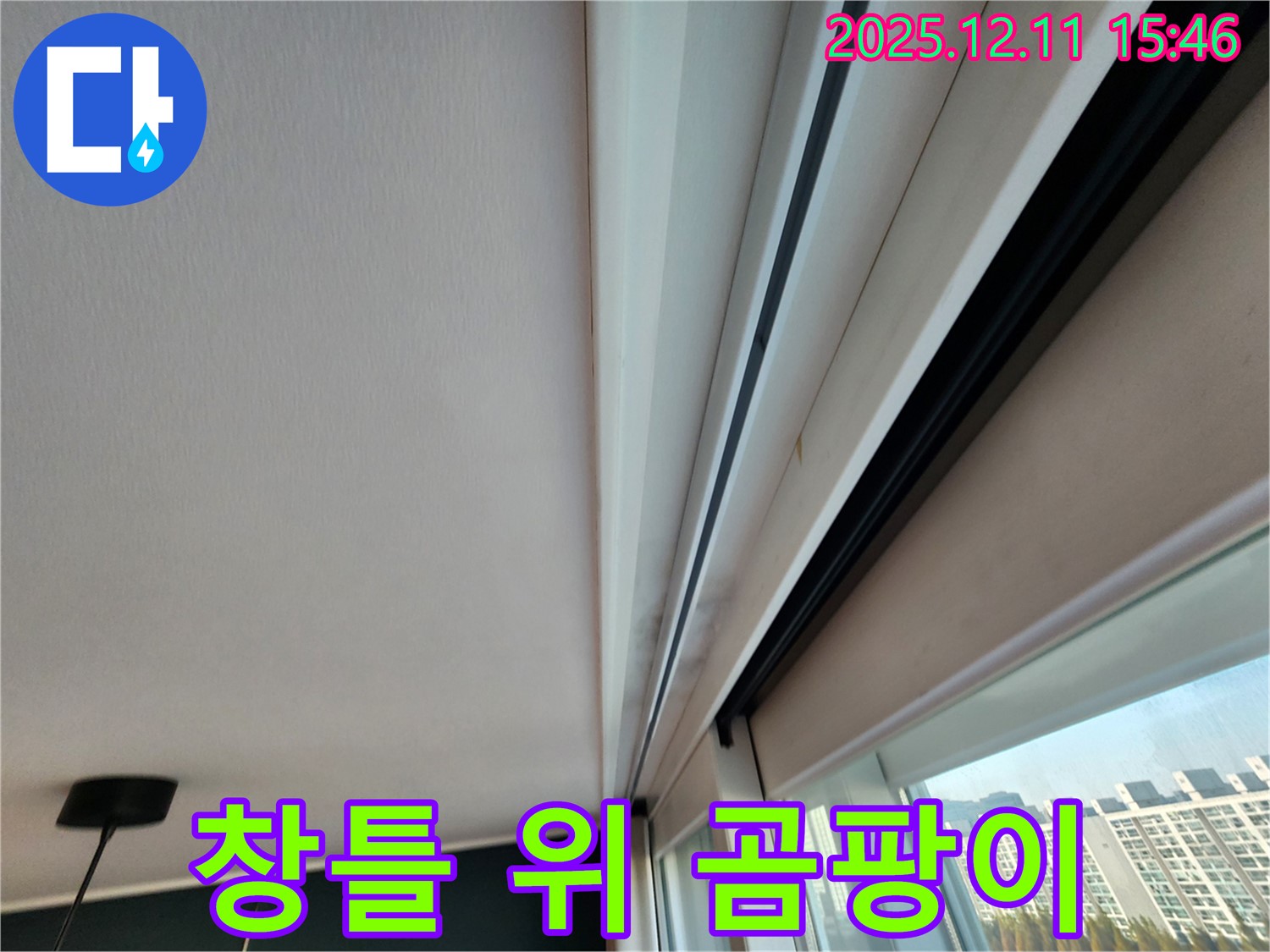 포천 영중면 남궁리 창틀 위 곰팡이 - 누수 문제 해결 과정