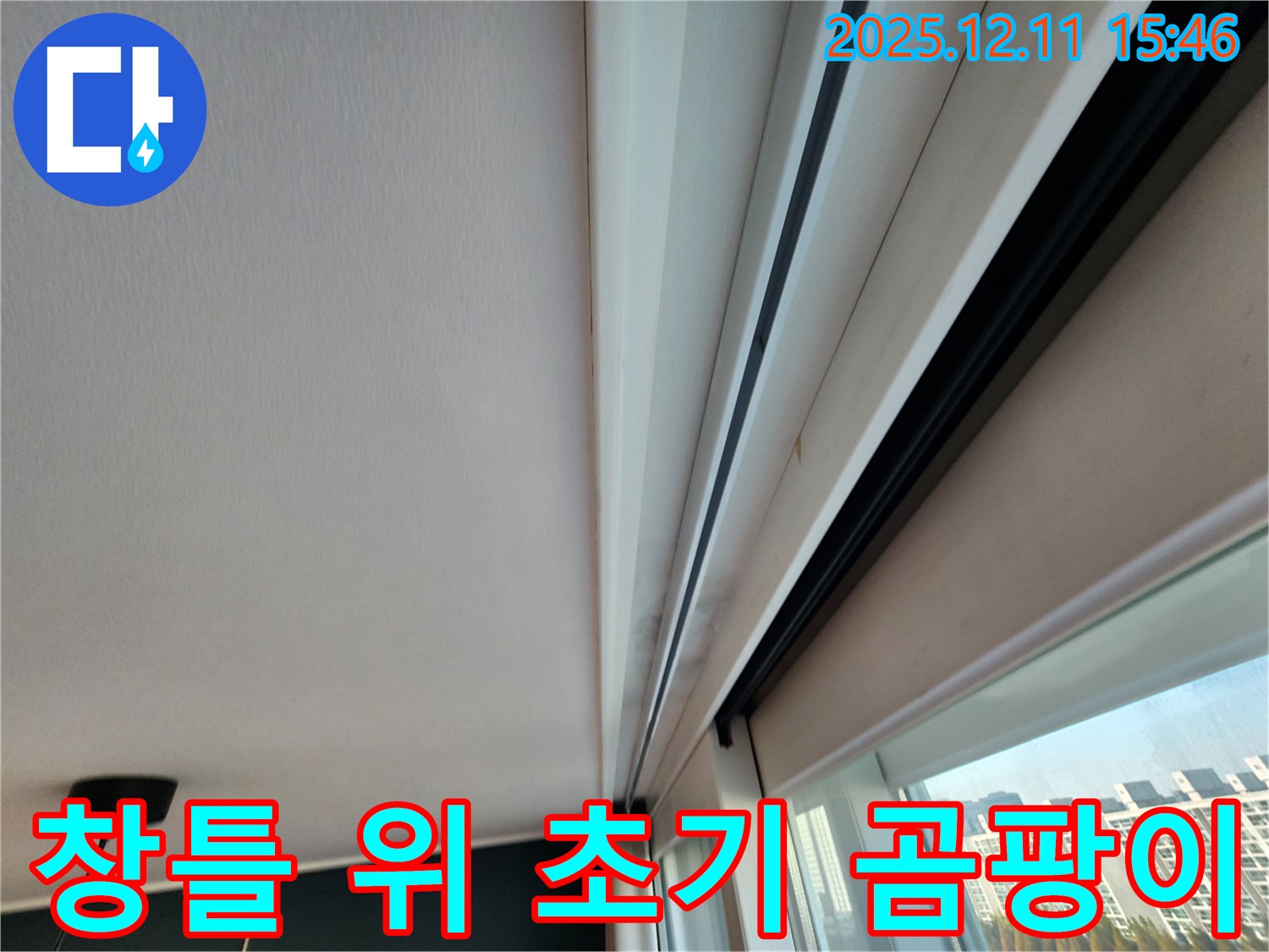 포천시 영중면 남궁리 창틀 위 아주 작은 검은 곰팡이 - 초기 대응으로 누수를 막자
