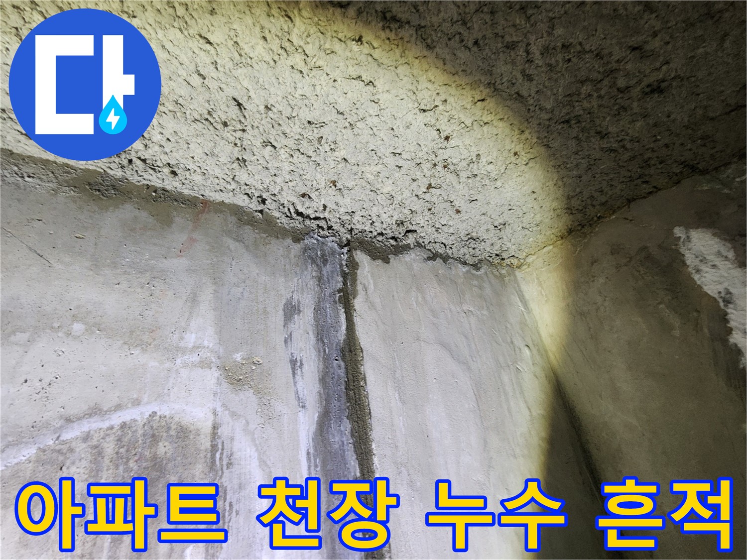 누수 전문가의 정확한 진단 - 문제 해결의 첫걸음