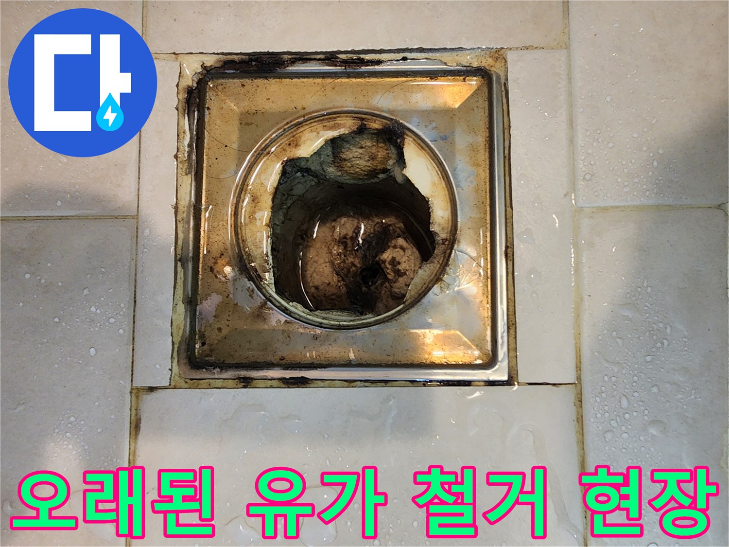 오염된 욕실 유가-배수구에서 분리-누수 공사 시작
