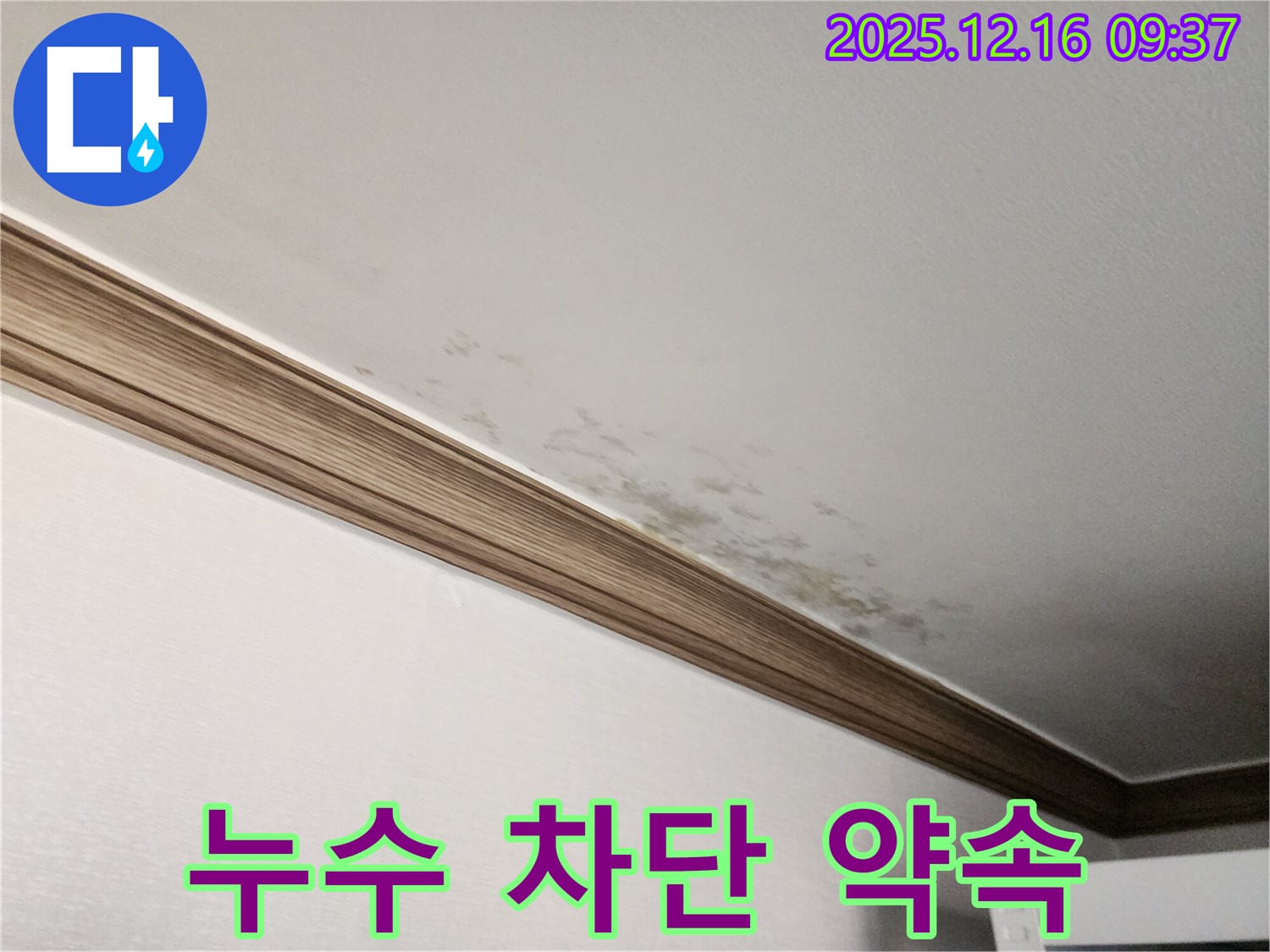 경기도 포천시 영북면 곰팡이 핀 천장 - 확실한 누수 차단과 곰팡이 제거 약속