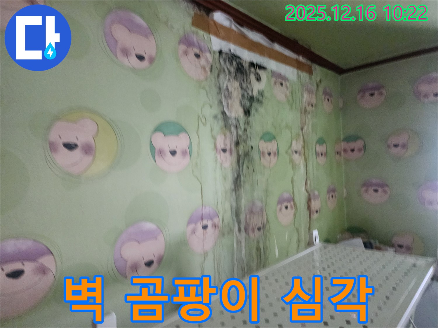 경기도 포천시 영북면 운천2리 주택 벽면의 심각한 곰팡이 - 누수 해결 및 곰팡이 제거로 건강한 집 만들기