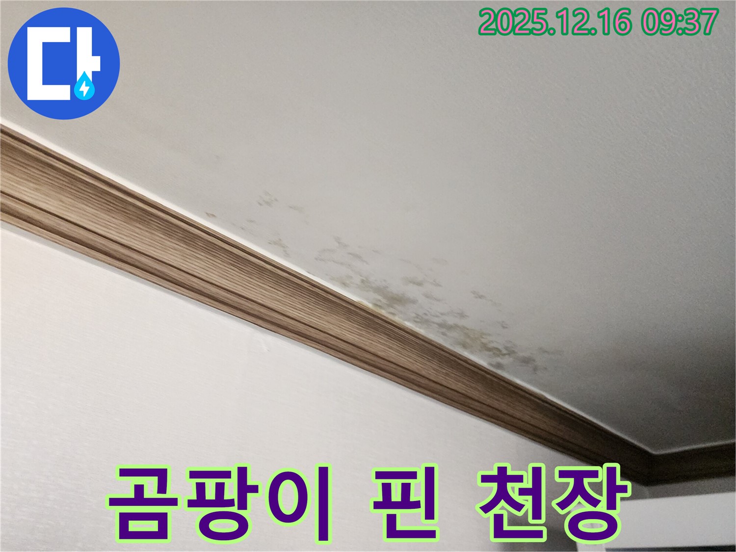 경기도 포천시 영북면 운천리 - 곰팡이 핀 천장 누수 해결 및 곰팡이 제거