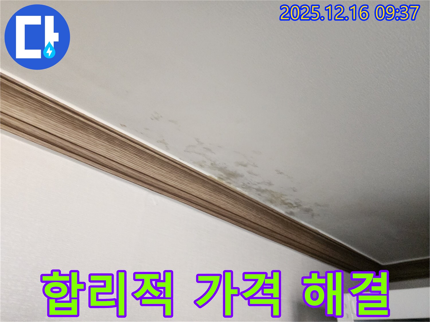 경기도 포천시 천장과 몰딩 곰팡이 - 누수 해결과 곰팡이 제거, 합리적인 가격으로