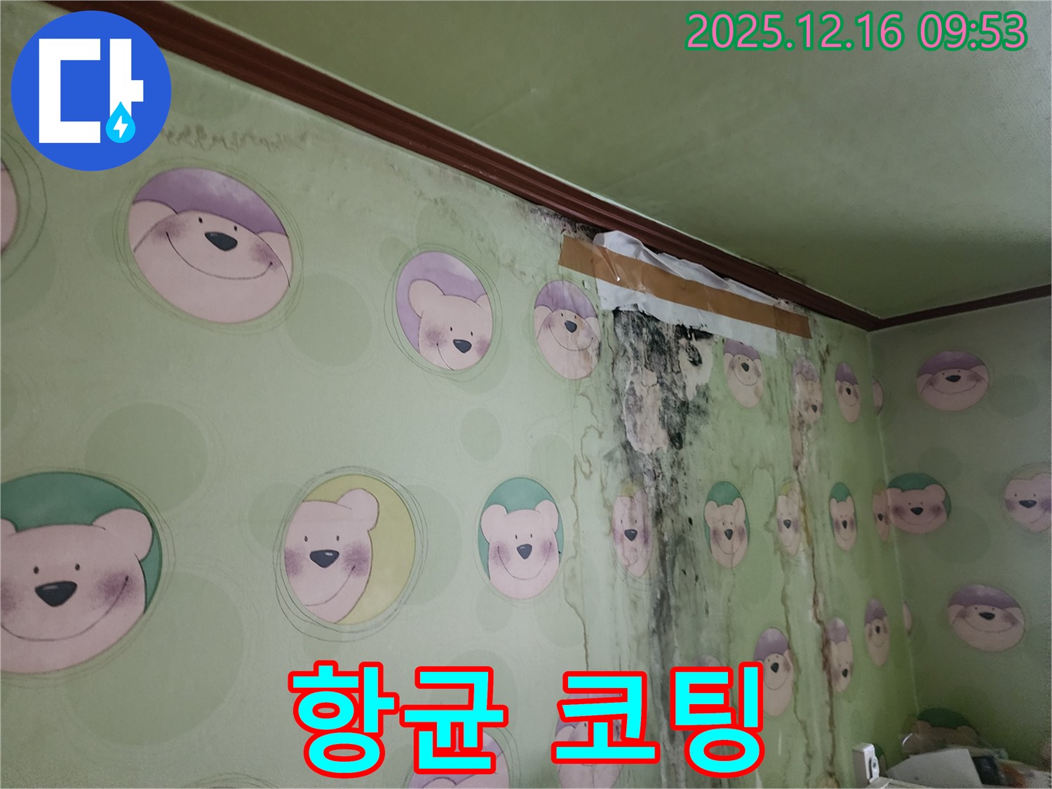 곰팡이 제거 후 항균 코팅 시공 - 곰팡이 재발을 억제하고 위생적인 환경을 유지합니다.