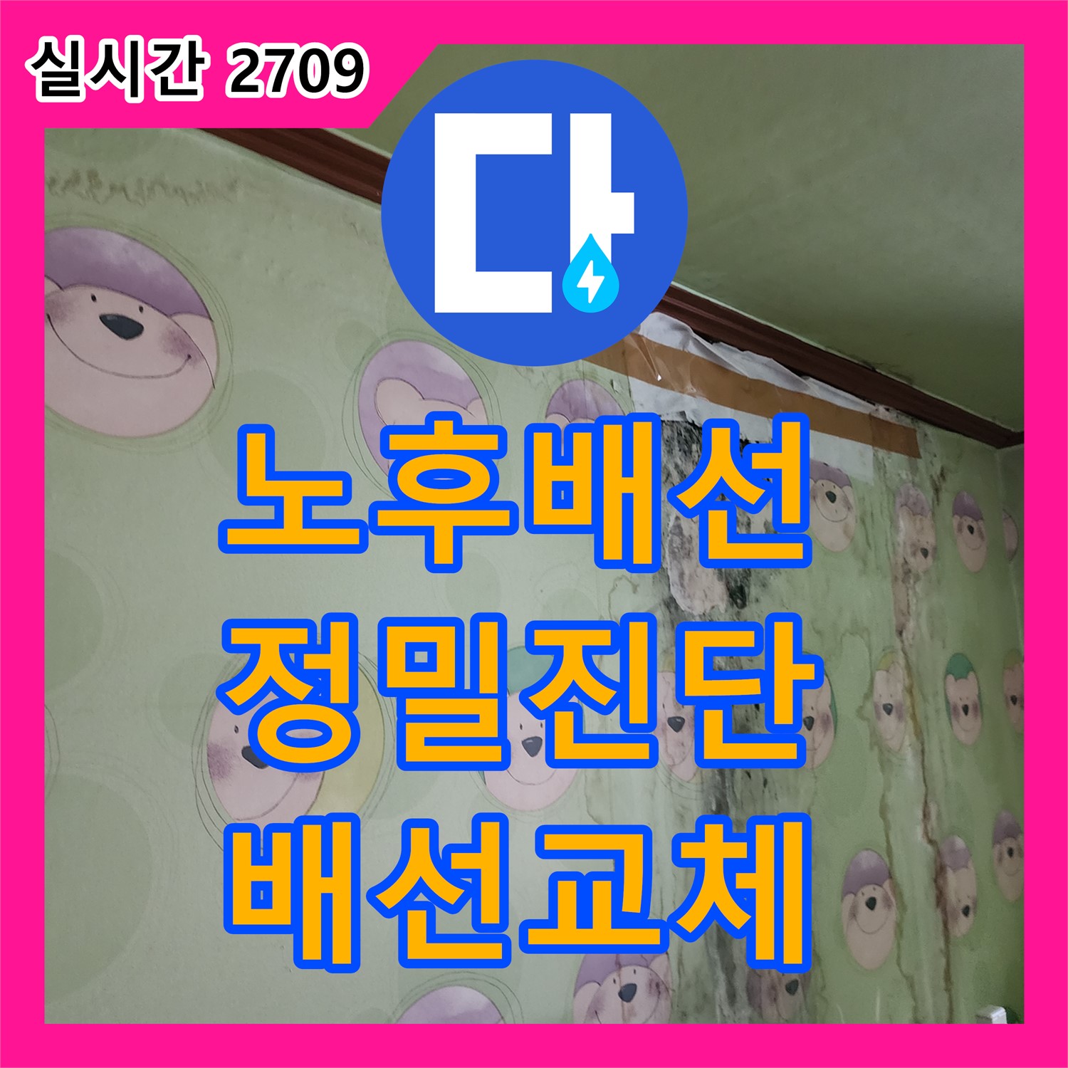 누수탐지전문, 노후 배선 누수, 정밀 진단 후 배선 교체 - 포천