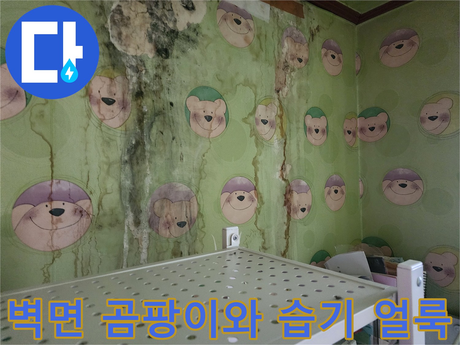 영북면 현장-벽지 곳곳에 나타난 누수 피해 및 곰팡이 상태