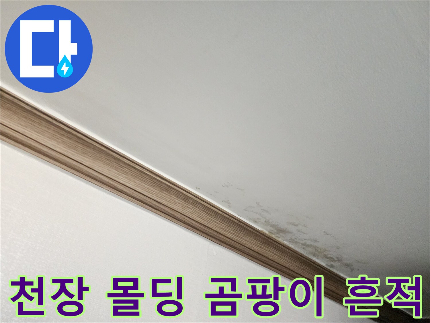 천장 몰딩 부근에 발생한 젖은 얼룩과 곰팡이 증상