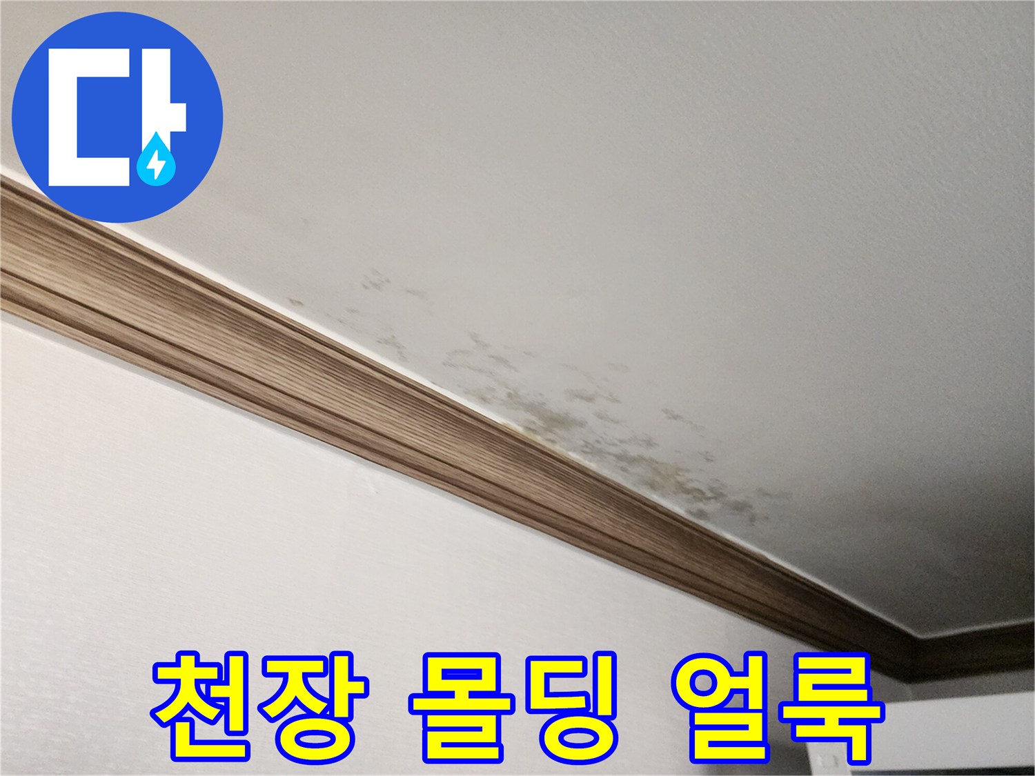 천장-몰딩-주변의-습기로-인한-얼룩과-곰PG이-발생한-상태입니다