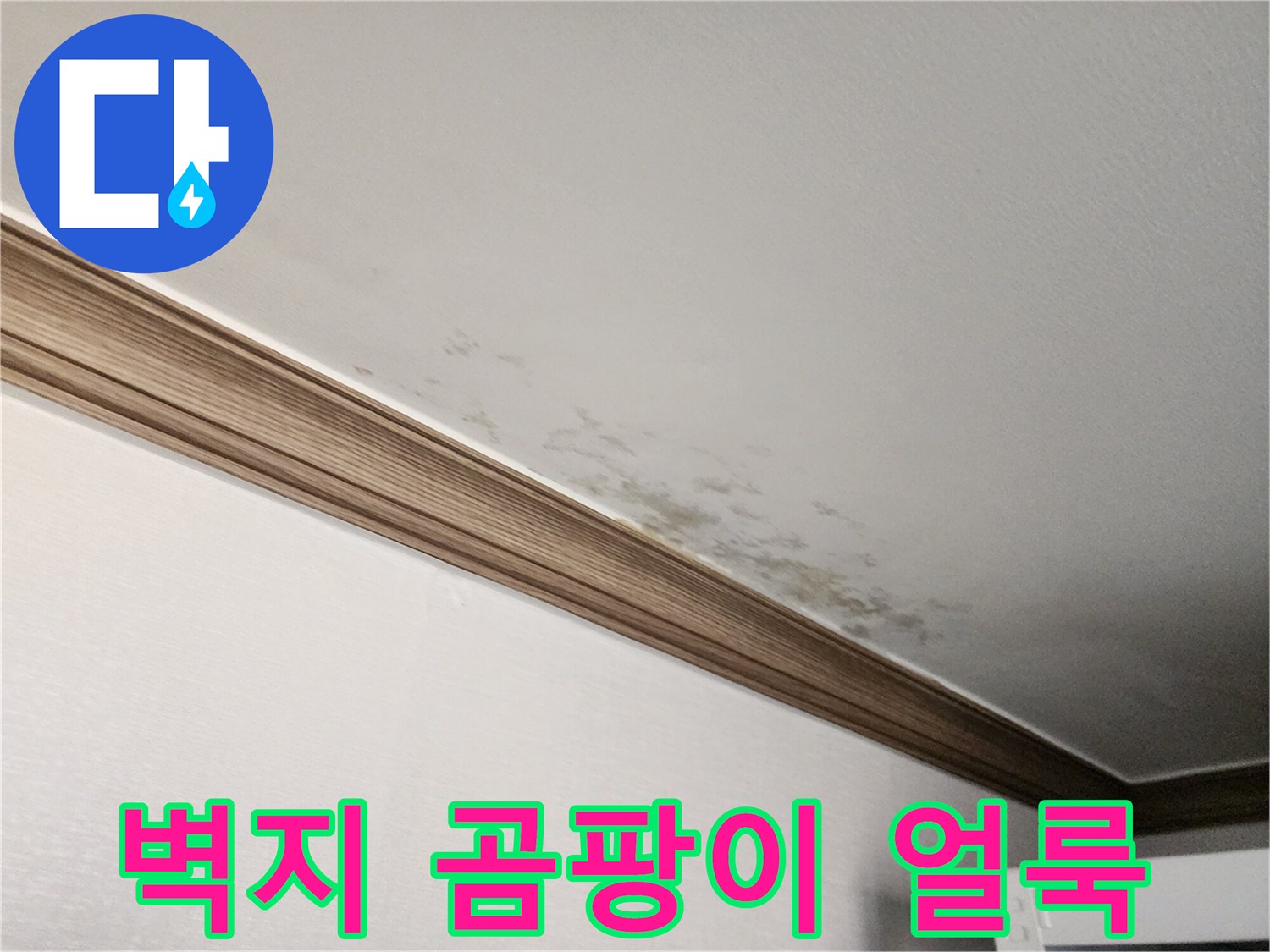 천장-벽면-경계에-발생한-심한-곰팡이와-물자국