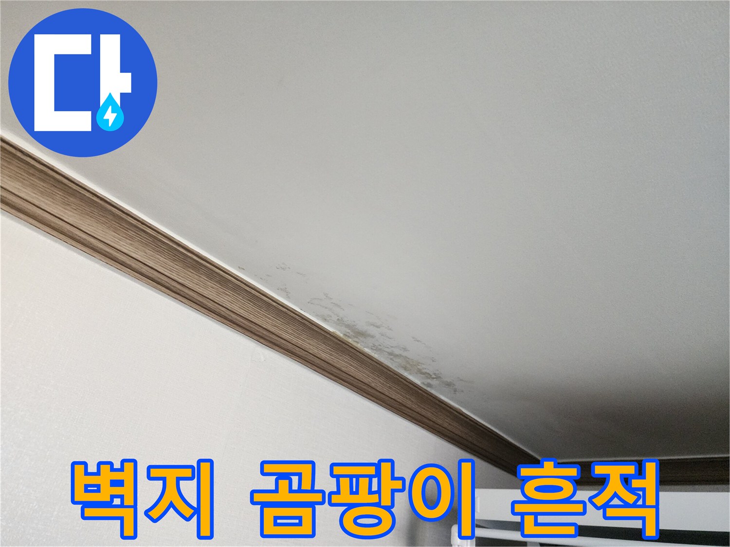 천장 벽지에 발생한 곰팡이와 습기 얼룩
