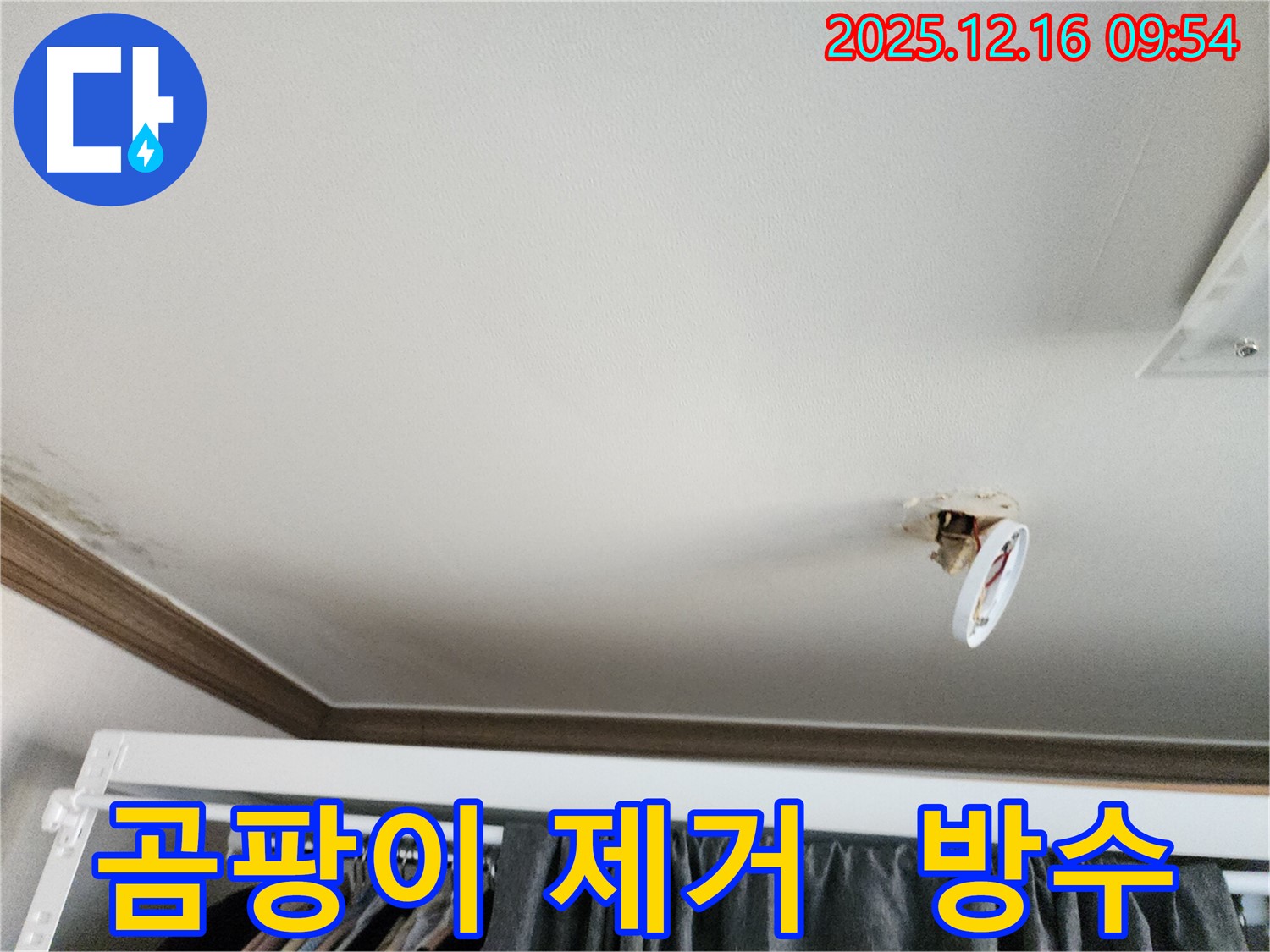 포천시 영북면 운천리 천장 누수 - 조명 주변 곰팡이 제거 및 철저한 방수 작업