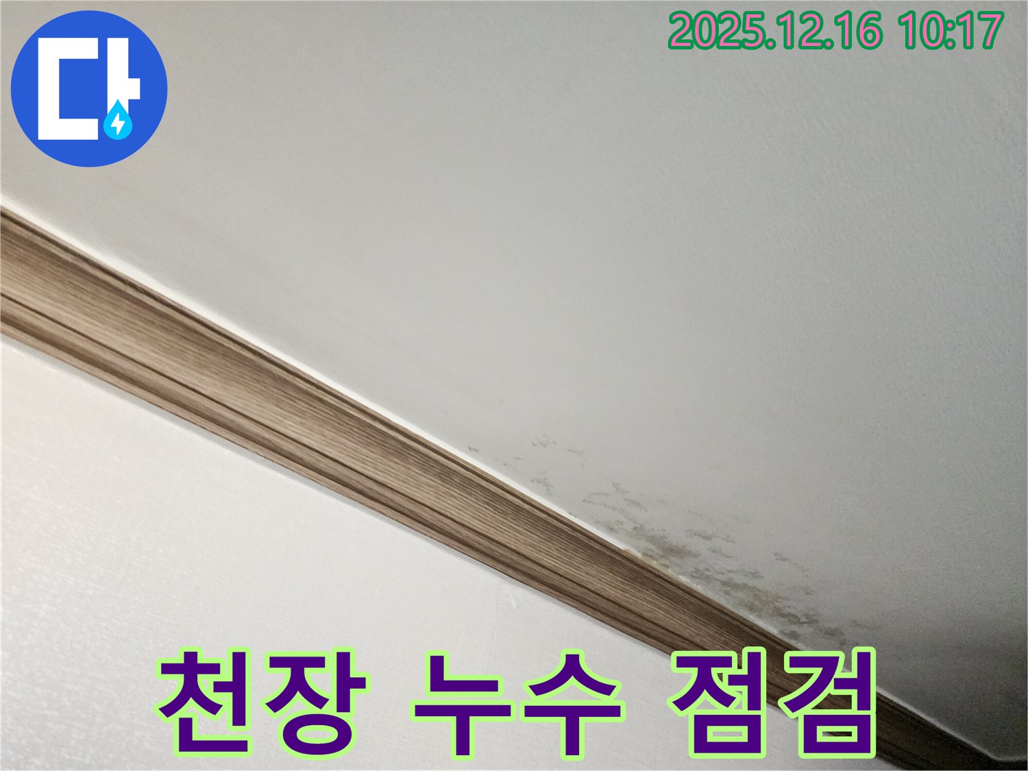포천시 영북면 천장 누수 점검 - 누수 전문가의 꼼꼼한 점검 과정
