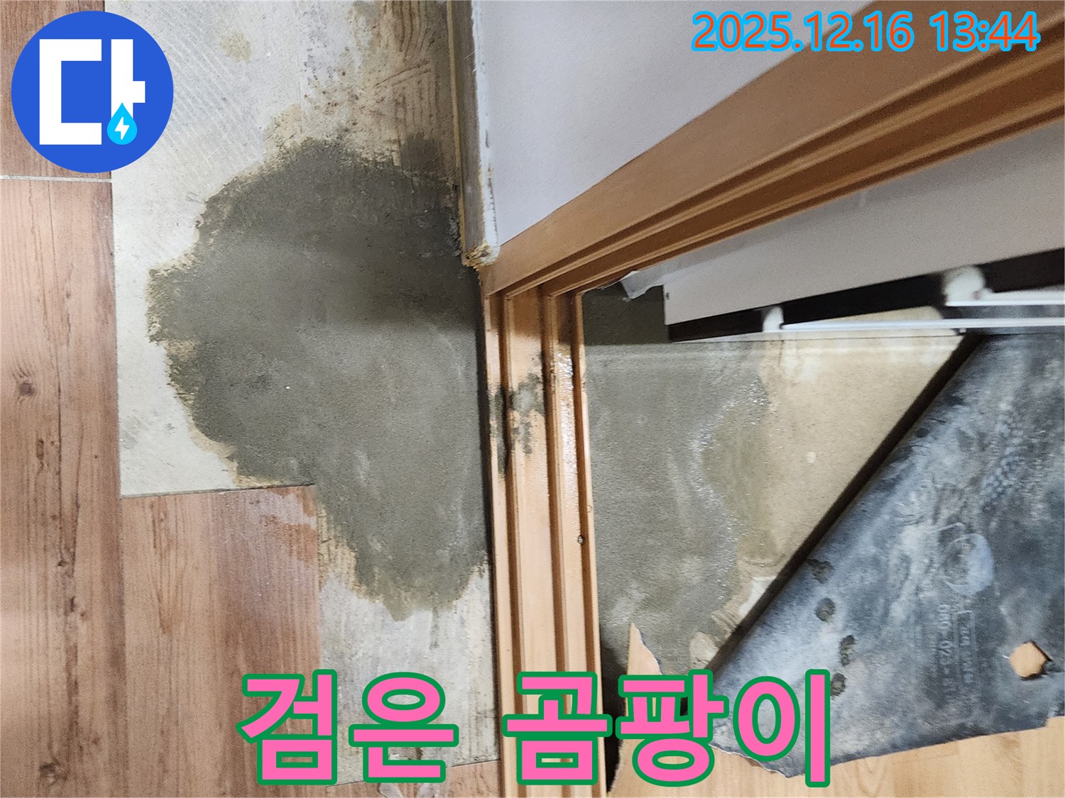 소홀리 누수 - 장판 밑 검은 곰팡이, 온 가족 건강에 적신호