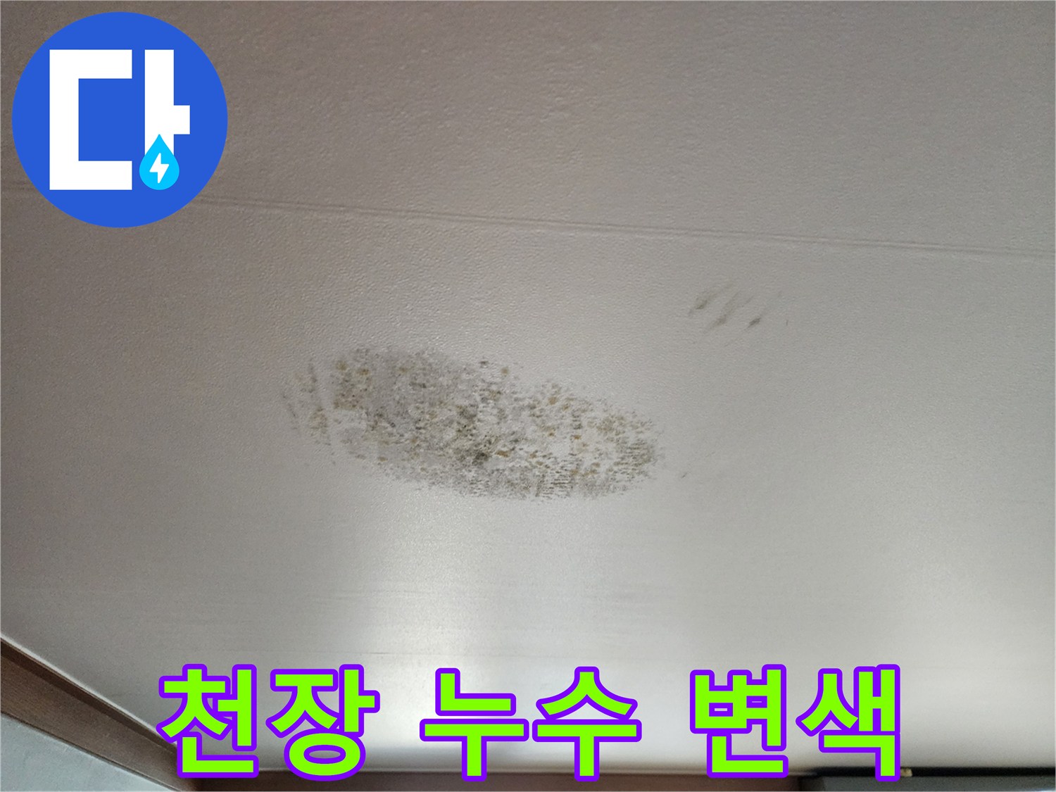 천장 석고보드 부근의 젖은 얼룩과 오염 상태