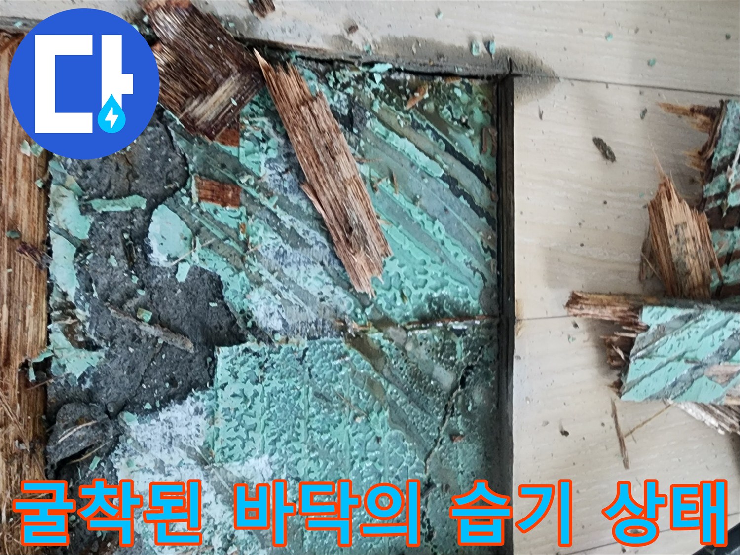 고잔동 누수 현장 - 젖은 배관 주변과 제거된 마루 조각들