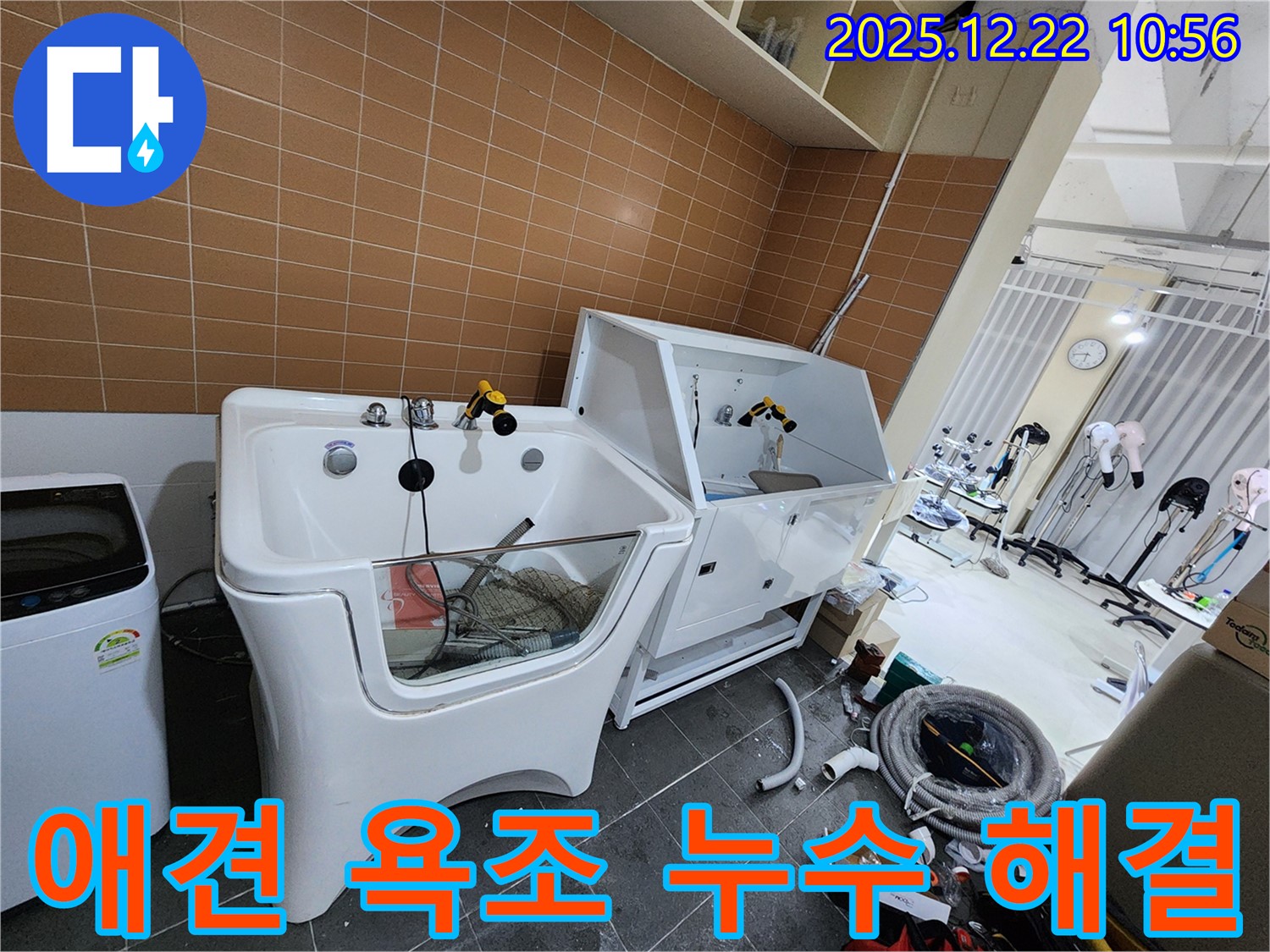 노원구 월계동에서 애견 욕조 누수 문제를 해결하고 고객 만족을 위해 최선을 다했습니다 - 믿고 맡겨주세요!