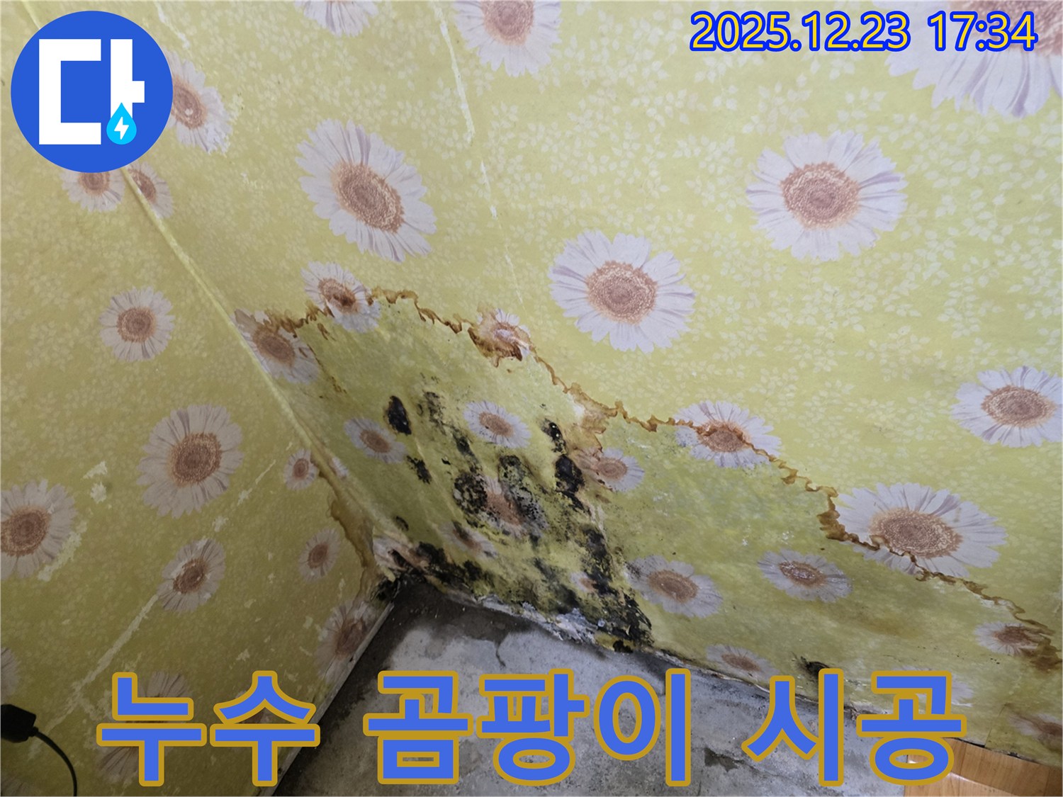 동두천 생연동 누수 및 곰팡이 시공 - 완벽한 해결 과정