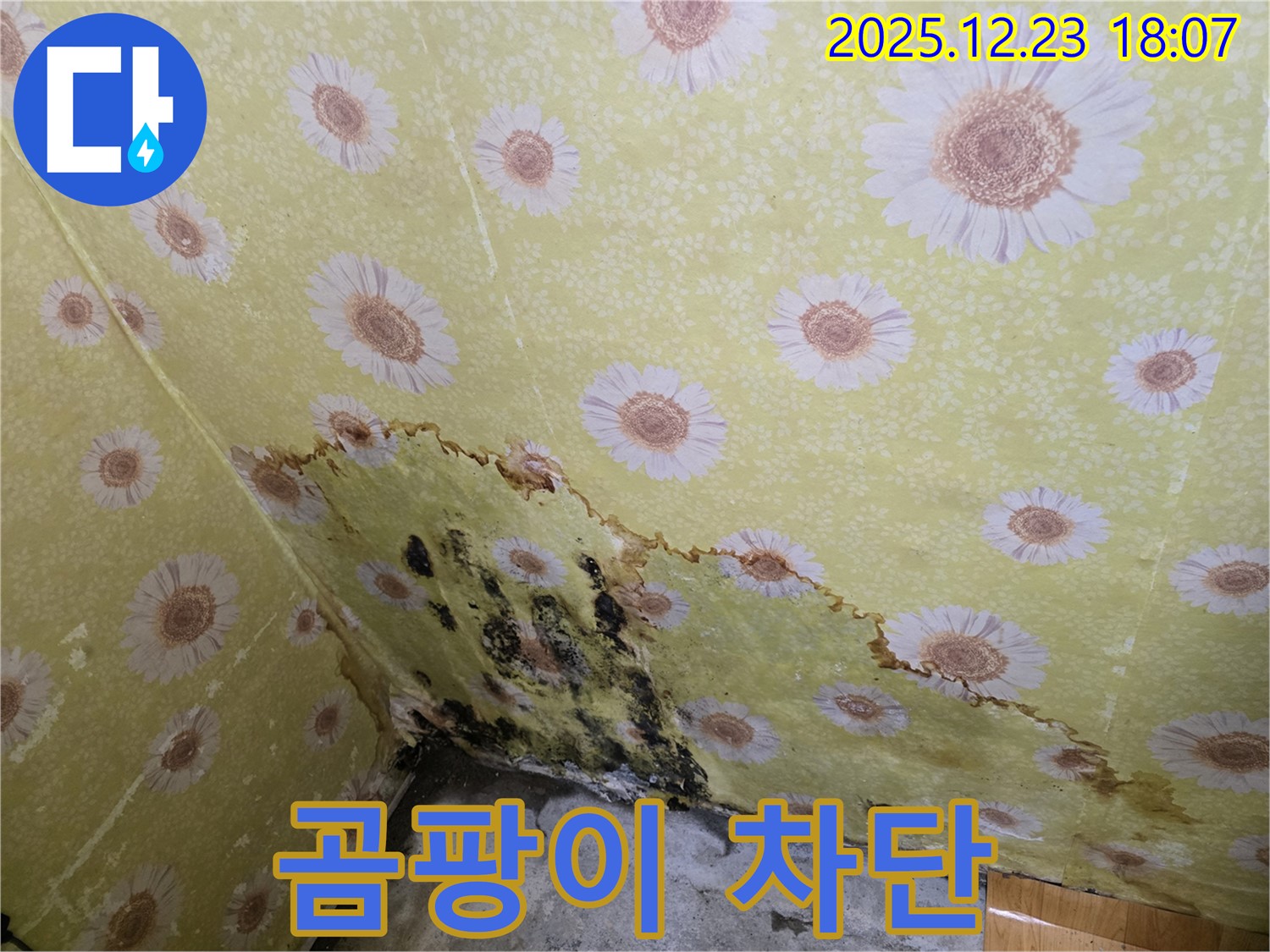 동두천 생연동 벽 누수 곰팡이 차단 - 완벽한 시공으로 곰팡이 걱정 없이 쾌적한 환경 유지 약속.