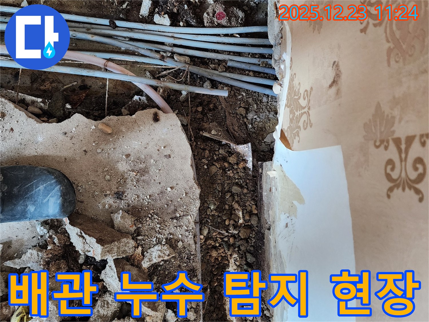 동두천 보산동 누수 현장 - 노후 배관에서 누수 지점을 정확히 탐지하고 있습니다.