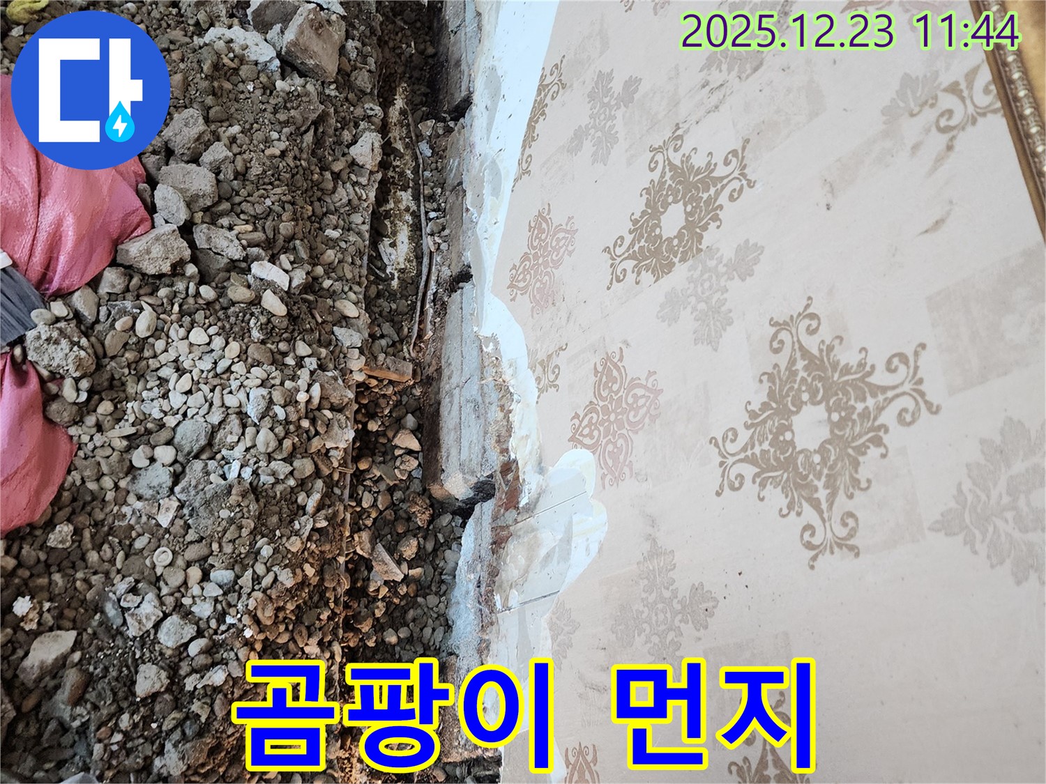 보산동 누수 - 천장 철거 후 드러난 곰팡이와 먼지의 충격적인 콜라보!