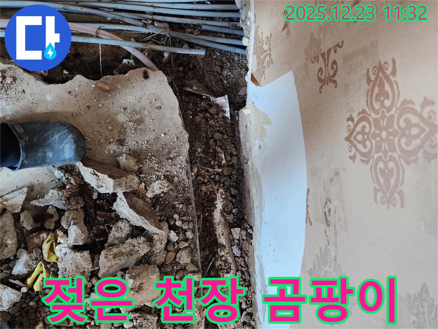 천장 누수 현장 - 젖은 천장에 곰팡이가 발생하여 건강을 위협하고 있습니다.