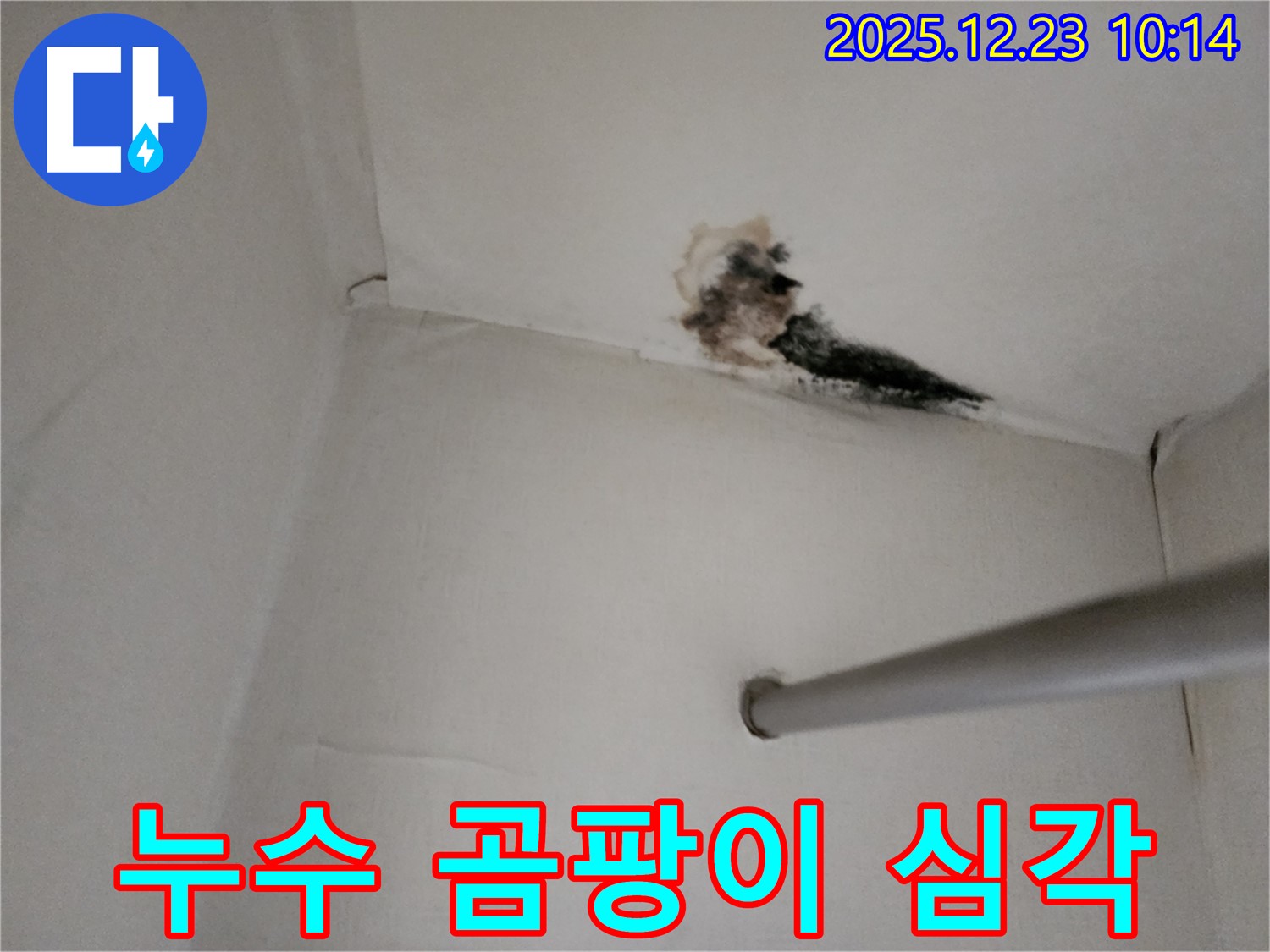 양주시 고암길 옷장 천장 누수 - 심각한 곰팡이와 누수 흔적
