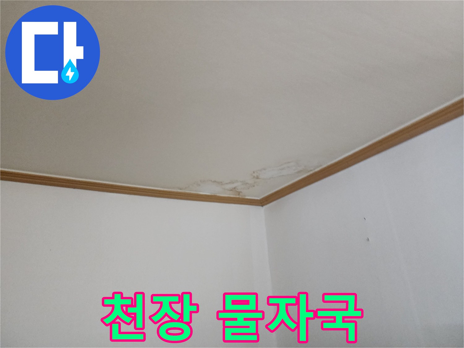 천장 몰딩 부근에 발생한 젖은 얼룩과 변색된 벽지