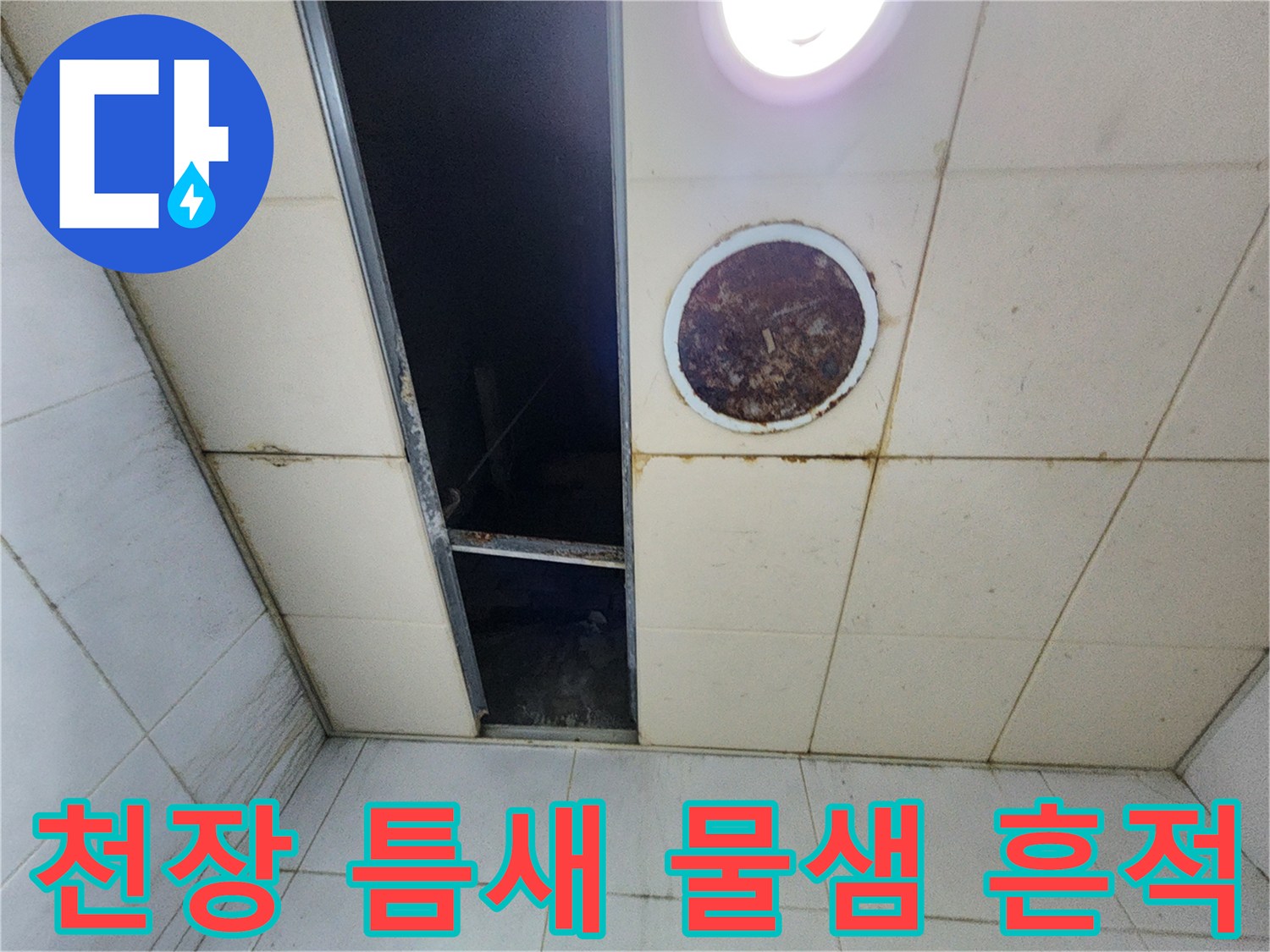물샘 증상이 나타난 천장 타일과 점검구 주변의 모습