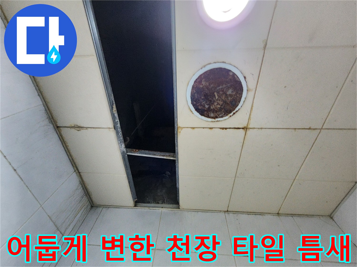 물샘 현상으로 인해 어두워진 천장 타일 사이의 틈새 부위