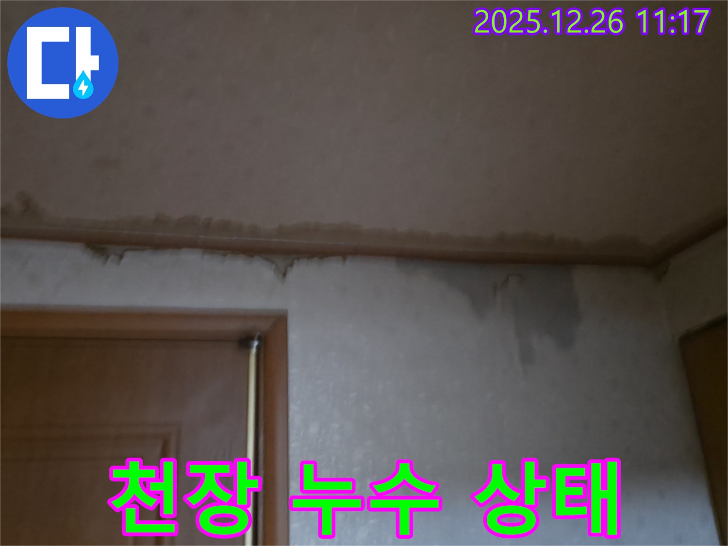 일산 백석동 아파트 천장 누수 - 누수 발생 부위 상세 확인