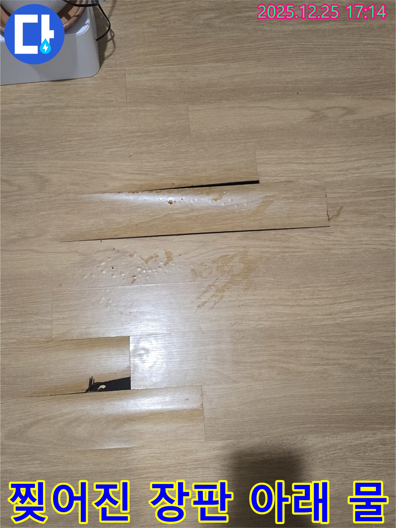 남양주 누수 현장 - 찢어진 장판 아래 고여있는 물, 긴급 해결 작업