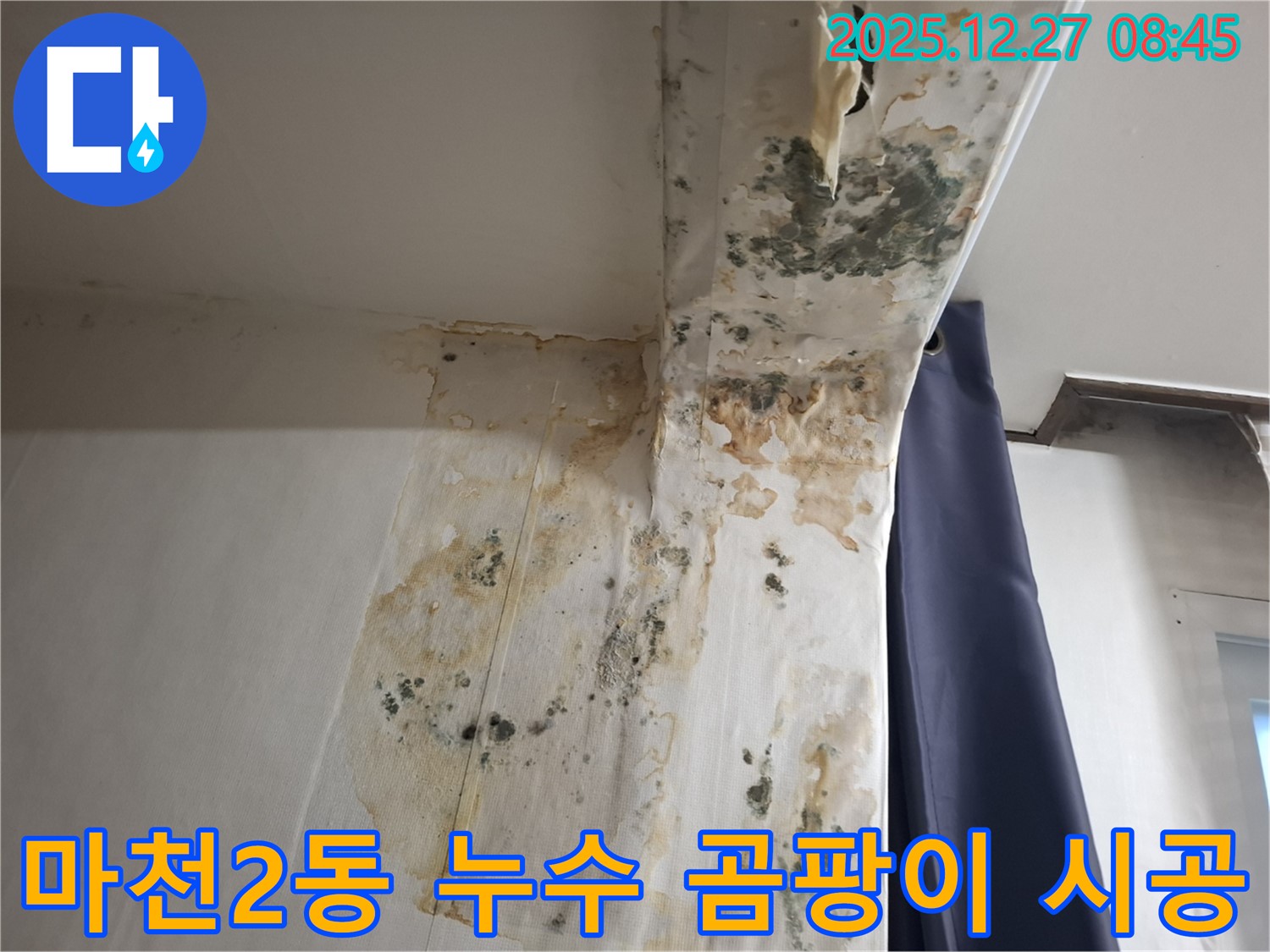 마천2동 누수 현장 - 곰팡이 제거 및 방지 전문 시공, 누수탐지 전문가의 꼼꼼함