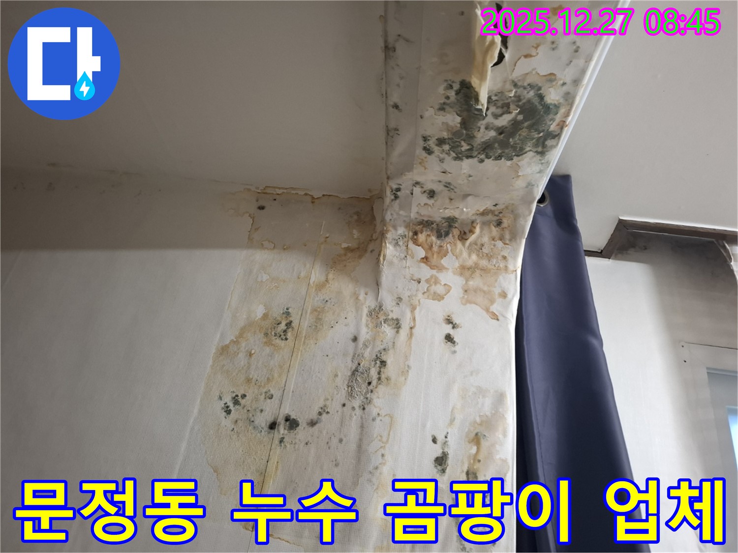 문정동 누수 현장 - 곰팡이 제거 전문 업체, 누수탐지 전문가의 신속한 해결