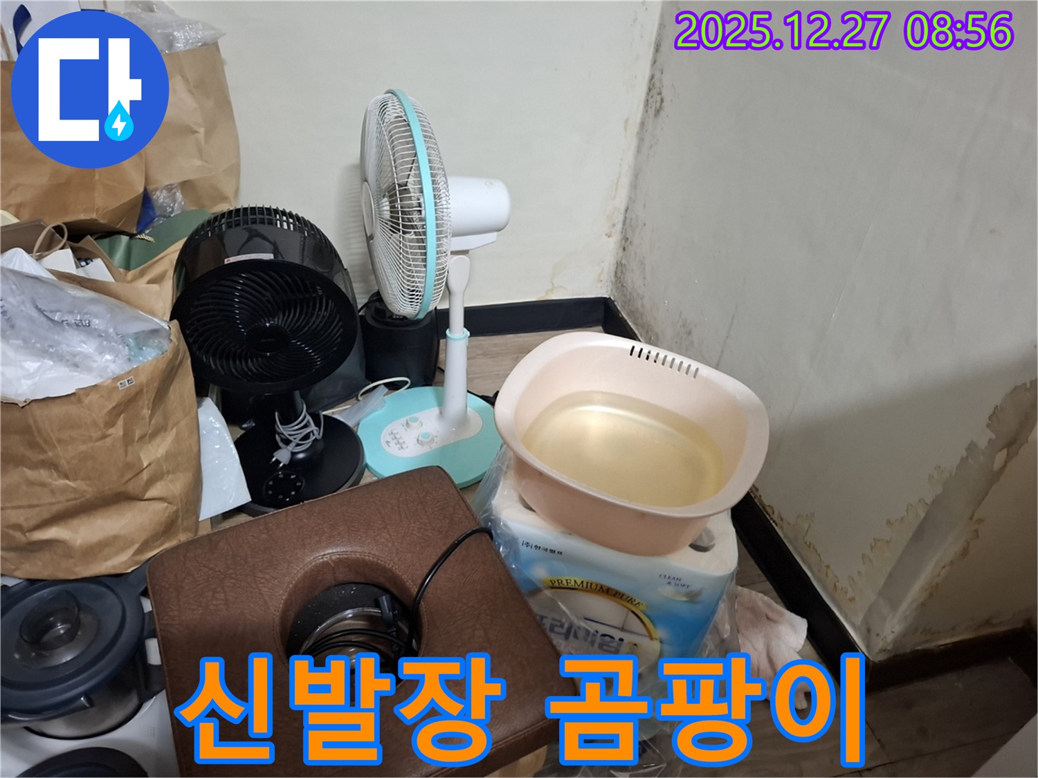 삼전동 누수 현장 - 신발장 곰팡이, 신발에도 곰팡이가 피었어요! - 신발도 꼼꼼하게 관리해야 합니다.