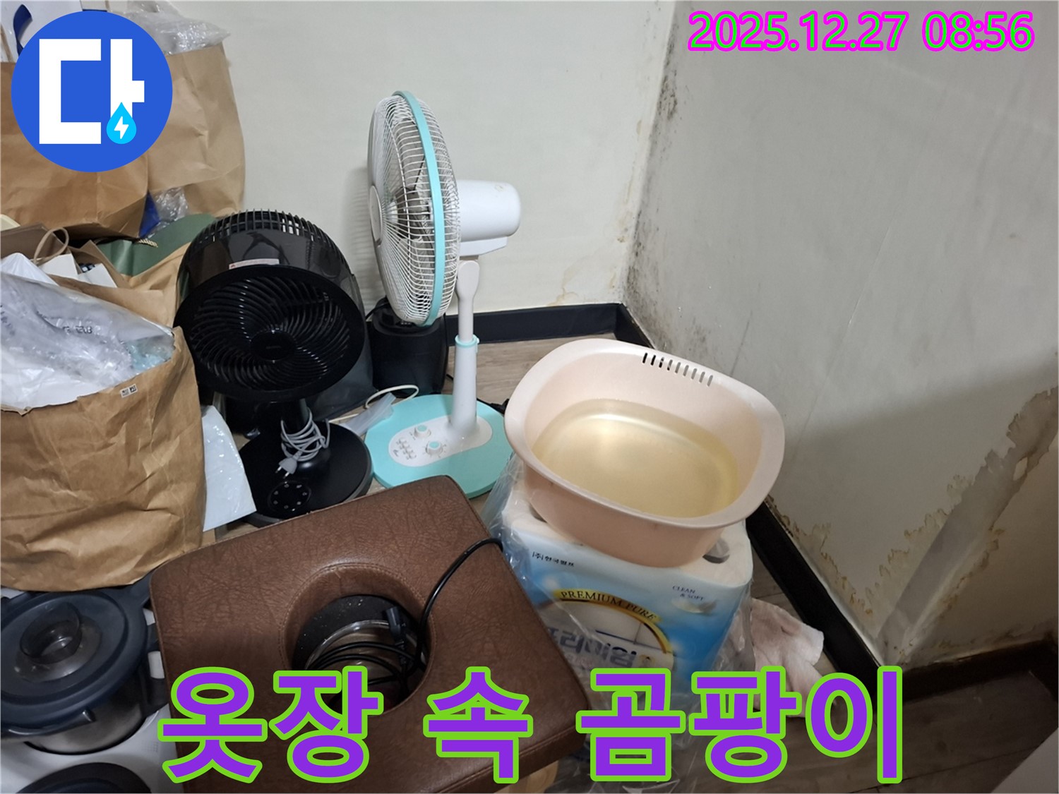 삼전동 누수 현장 - 옷장 속에 곰팡이가 피어 옷까지 오염된 모습입니다 - 건강에 치명적.